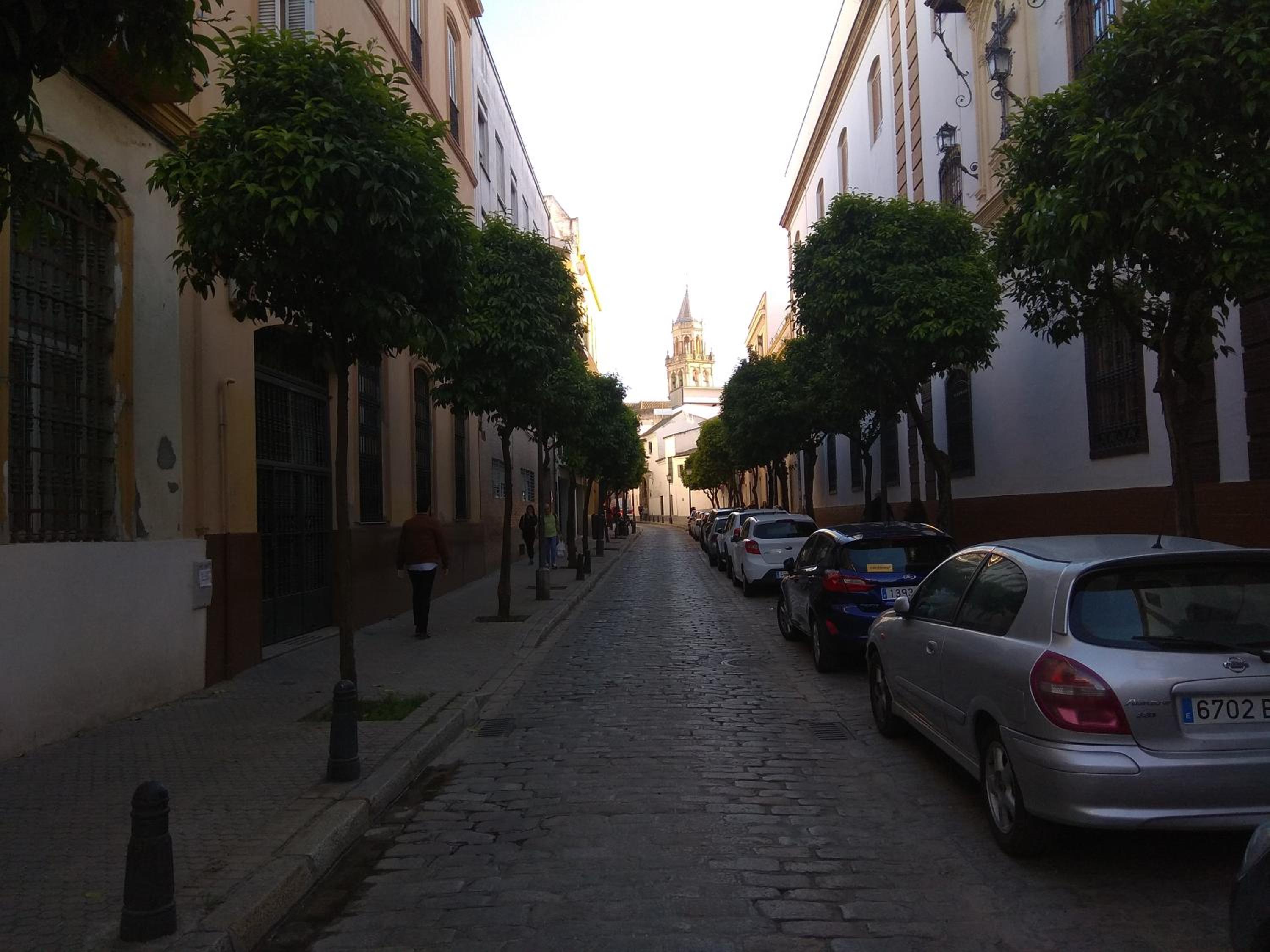 Apartamento en Calle Padilla