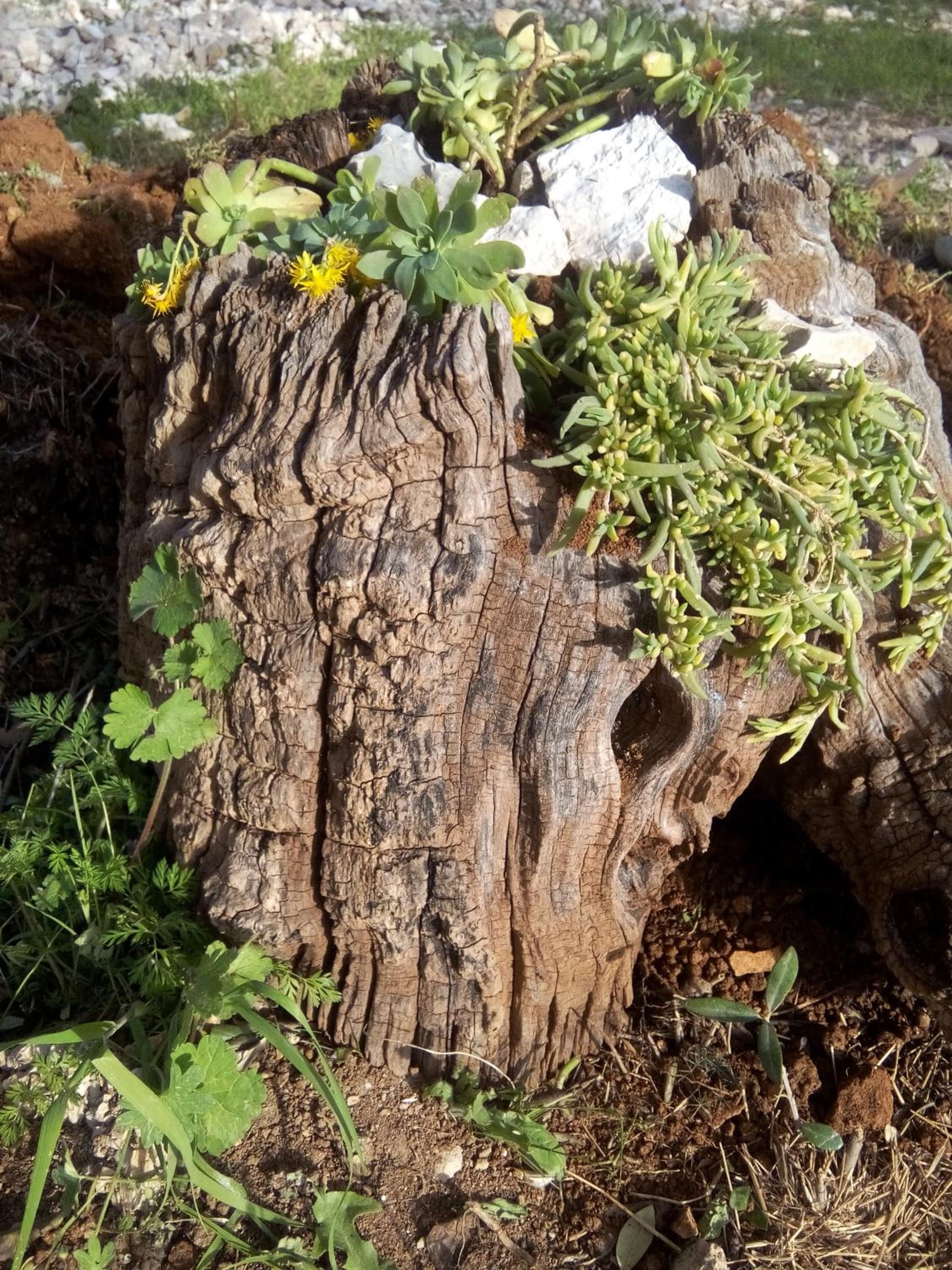 Photo 19