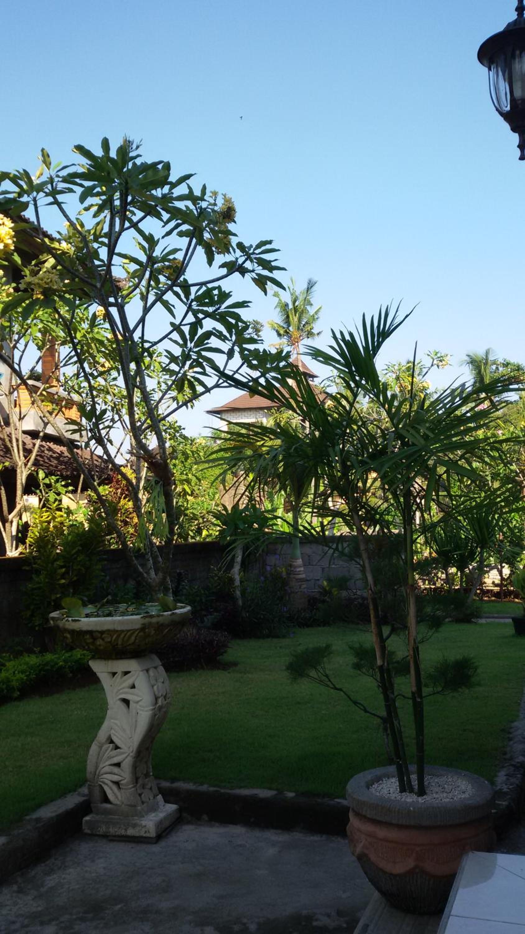 Murdhasari view 4