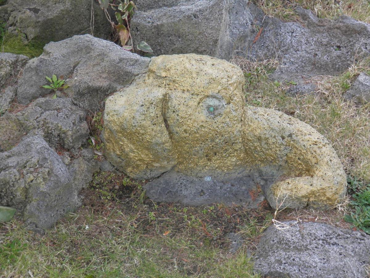 Photo 34