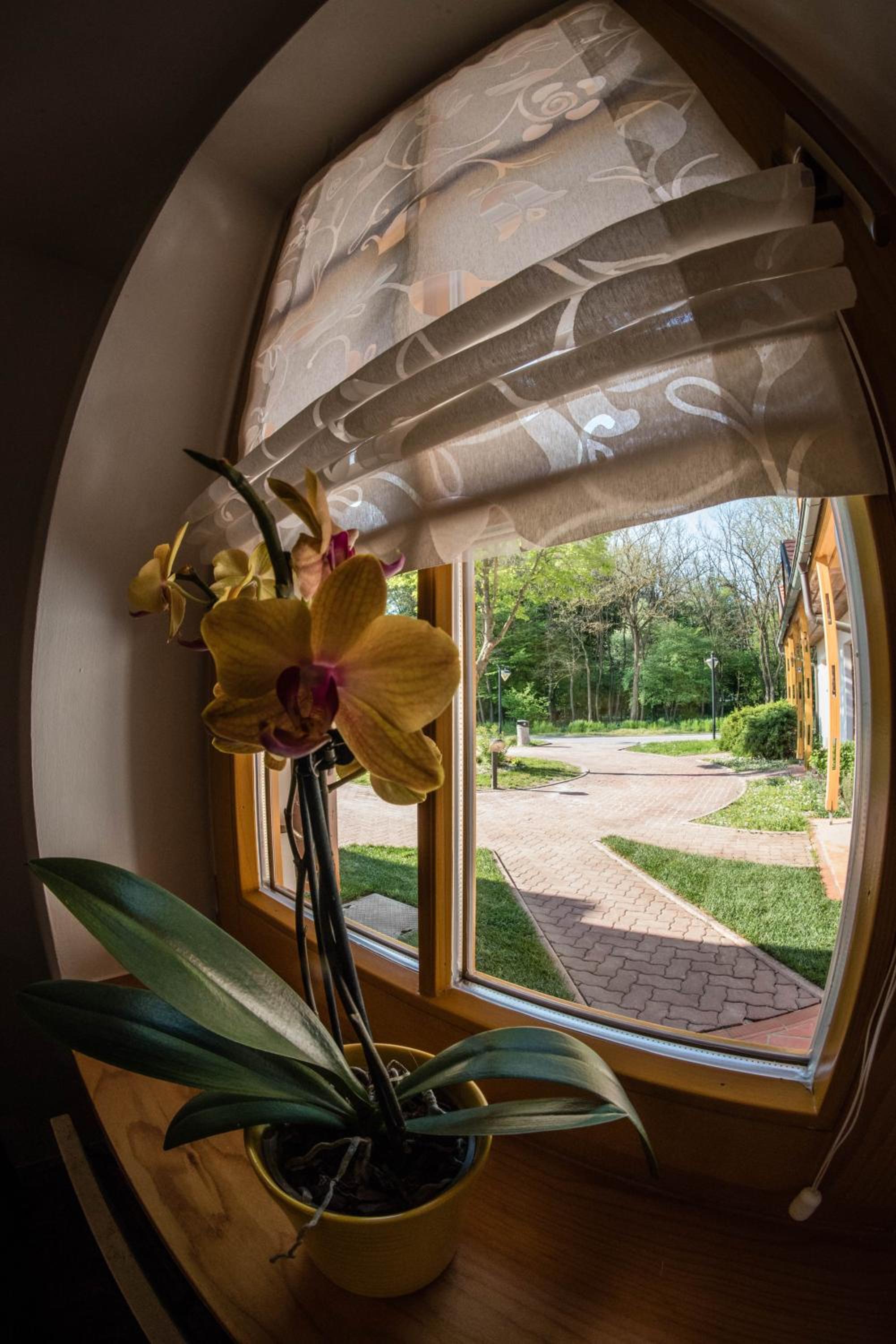 Apartma Marjetica 2