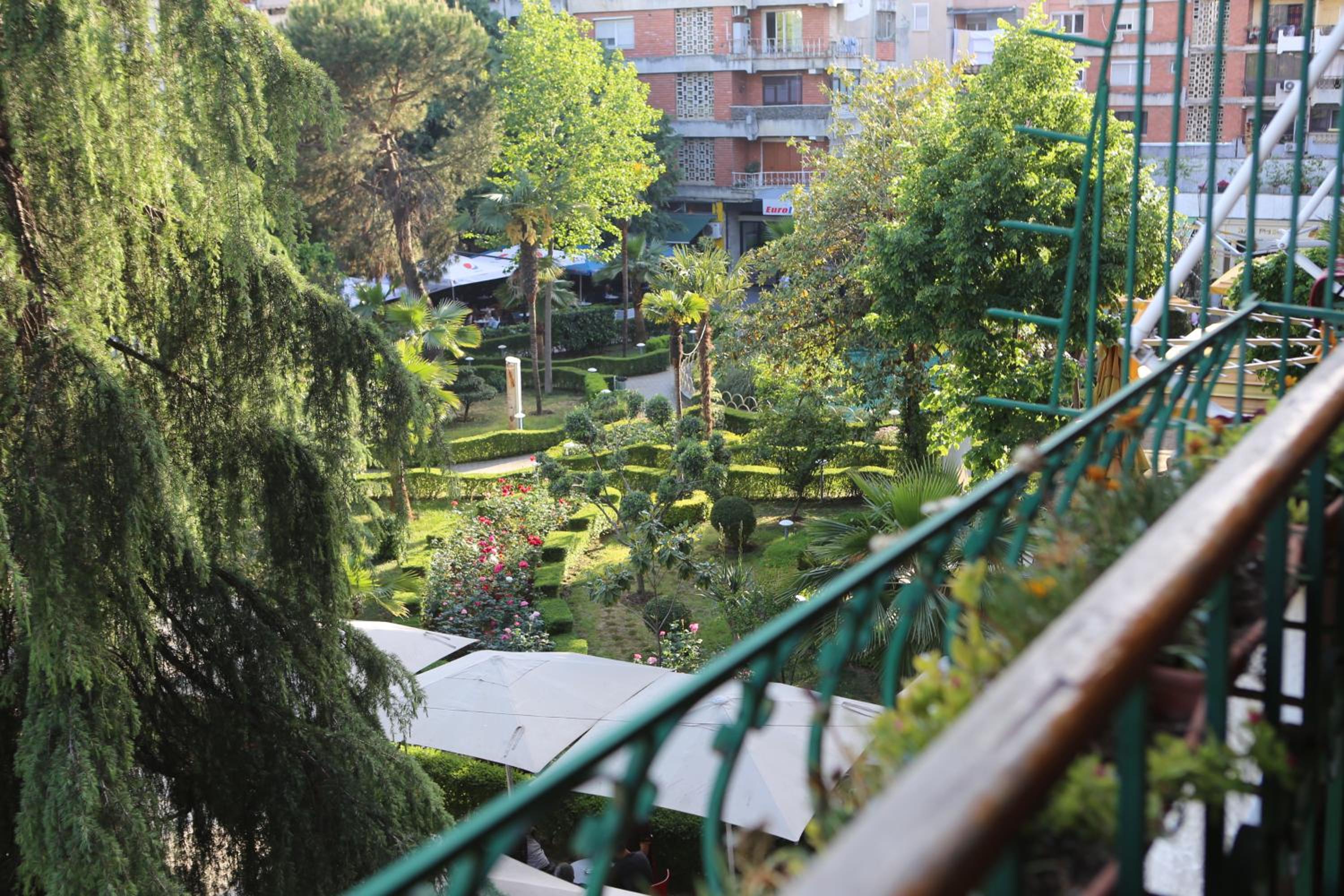 A Flower in Tirana