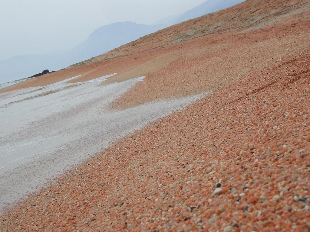 Photo 50