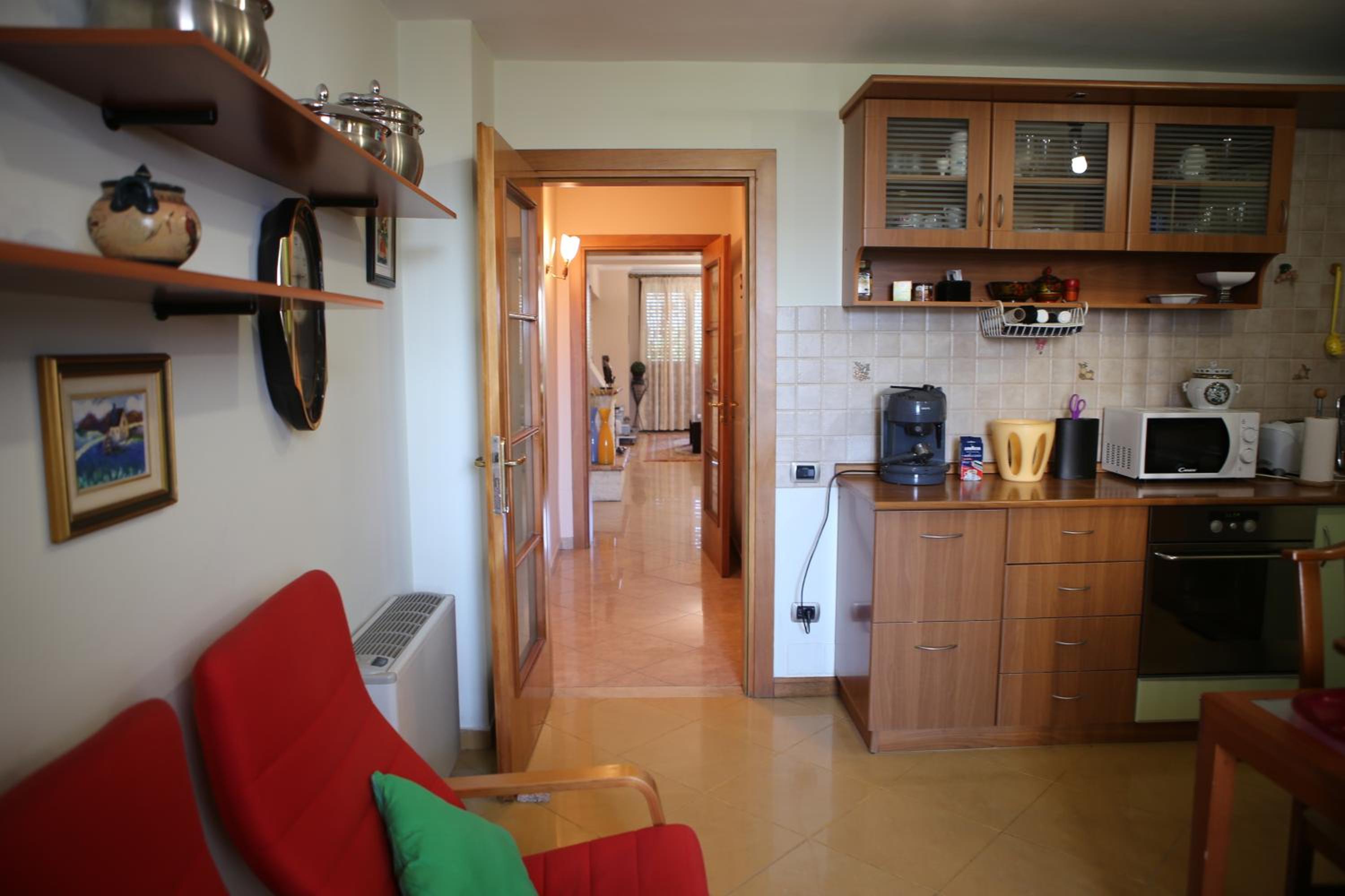 A Flower in Tirana