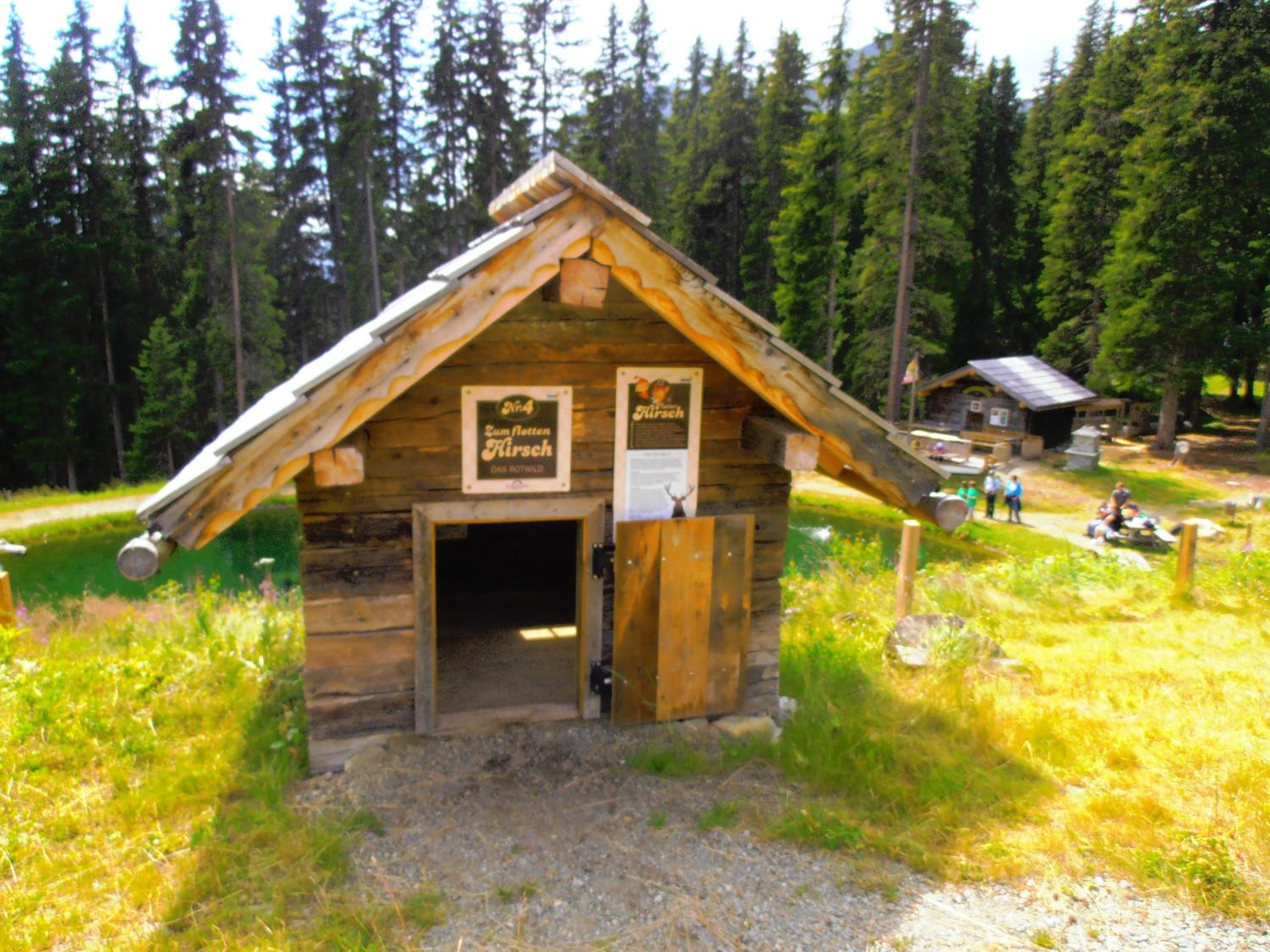 Photo 46