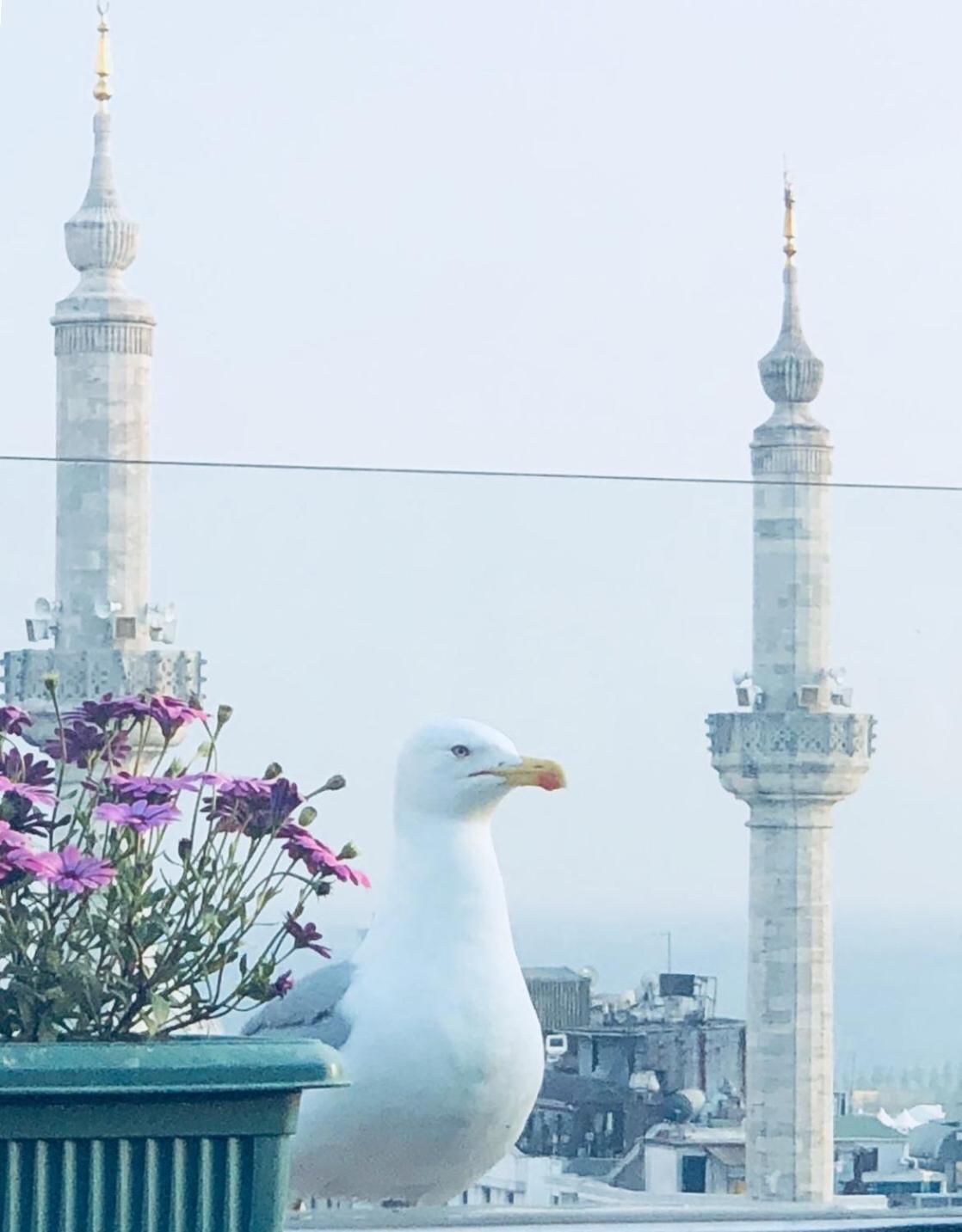 Grand Washington Otel - Image 20