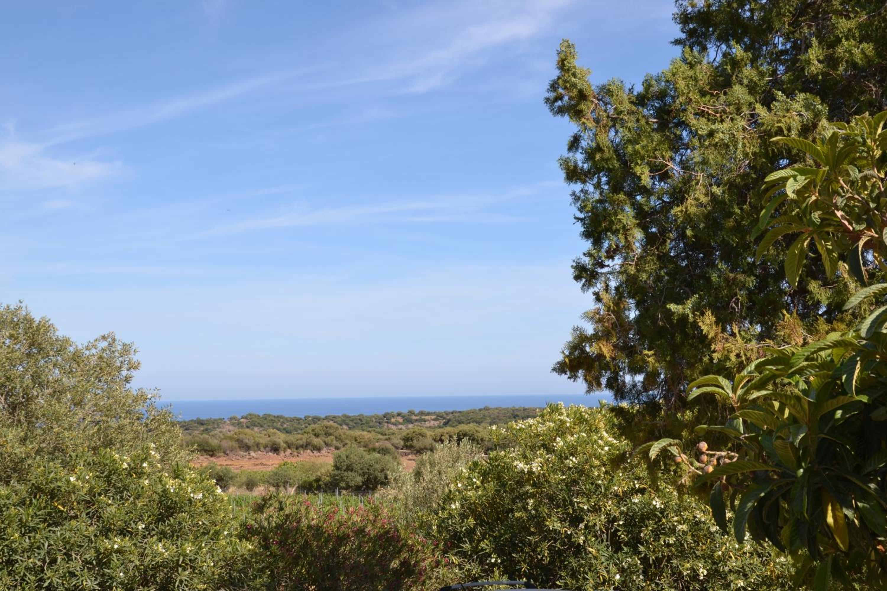 Casa indipendente immersa nel verde con vista mare view 4