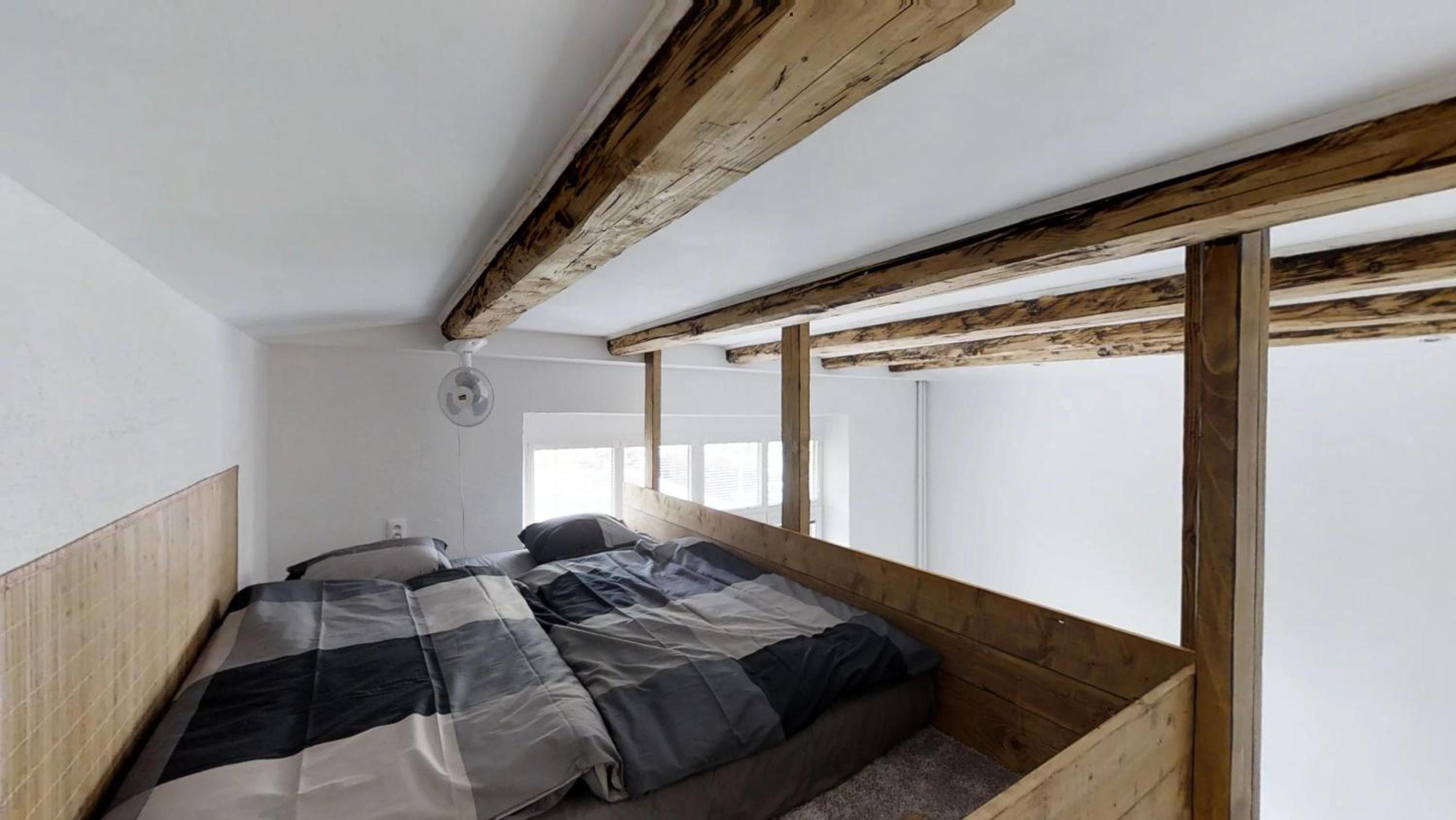 Old Town Loft view 2