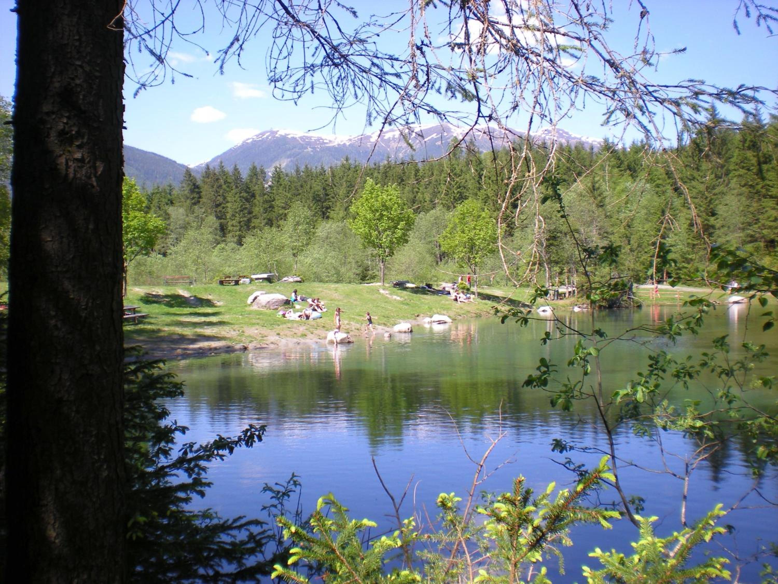 Photo 19