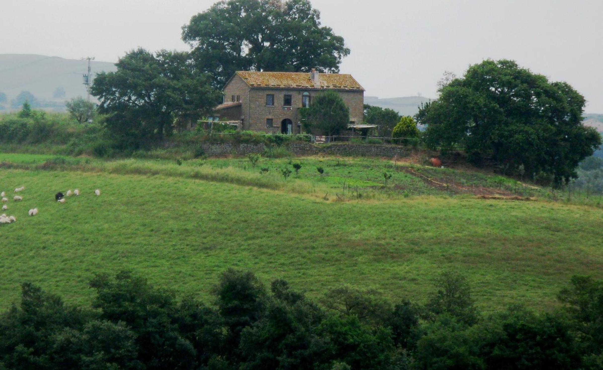 Photo 16