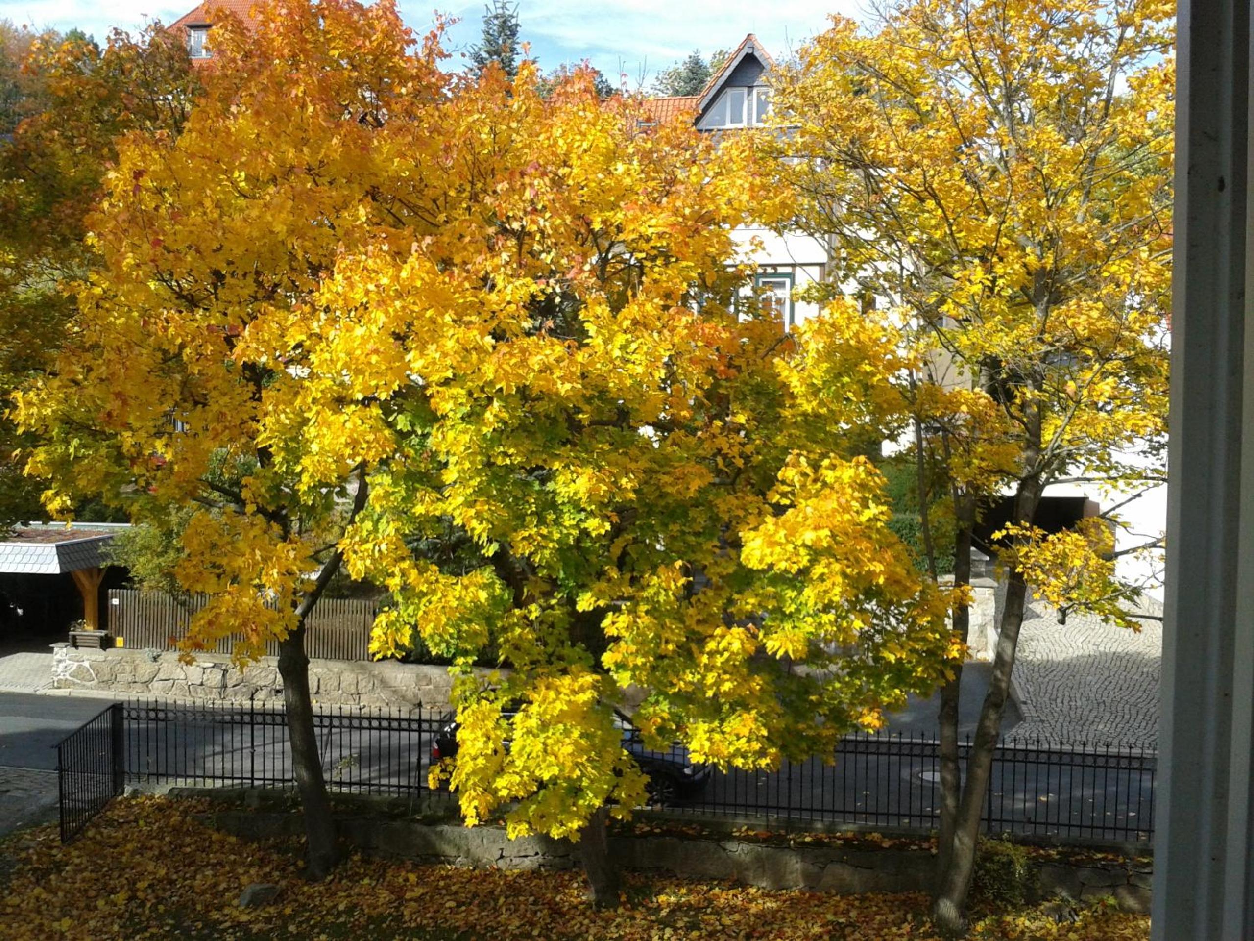 Photo 34