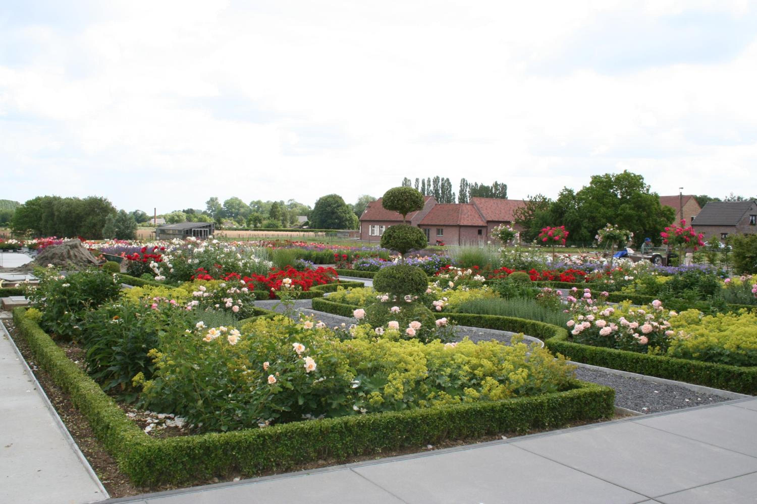 B&B La Vie En Roses