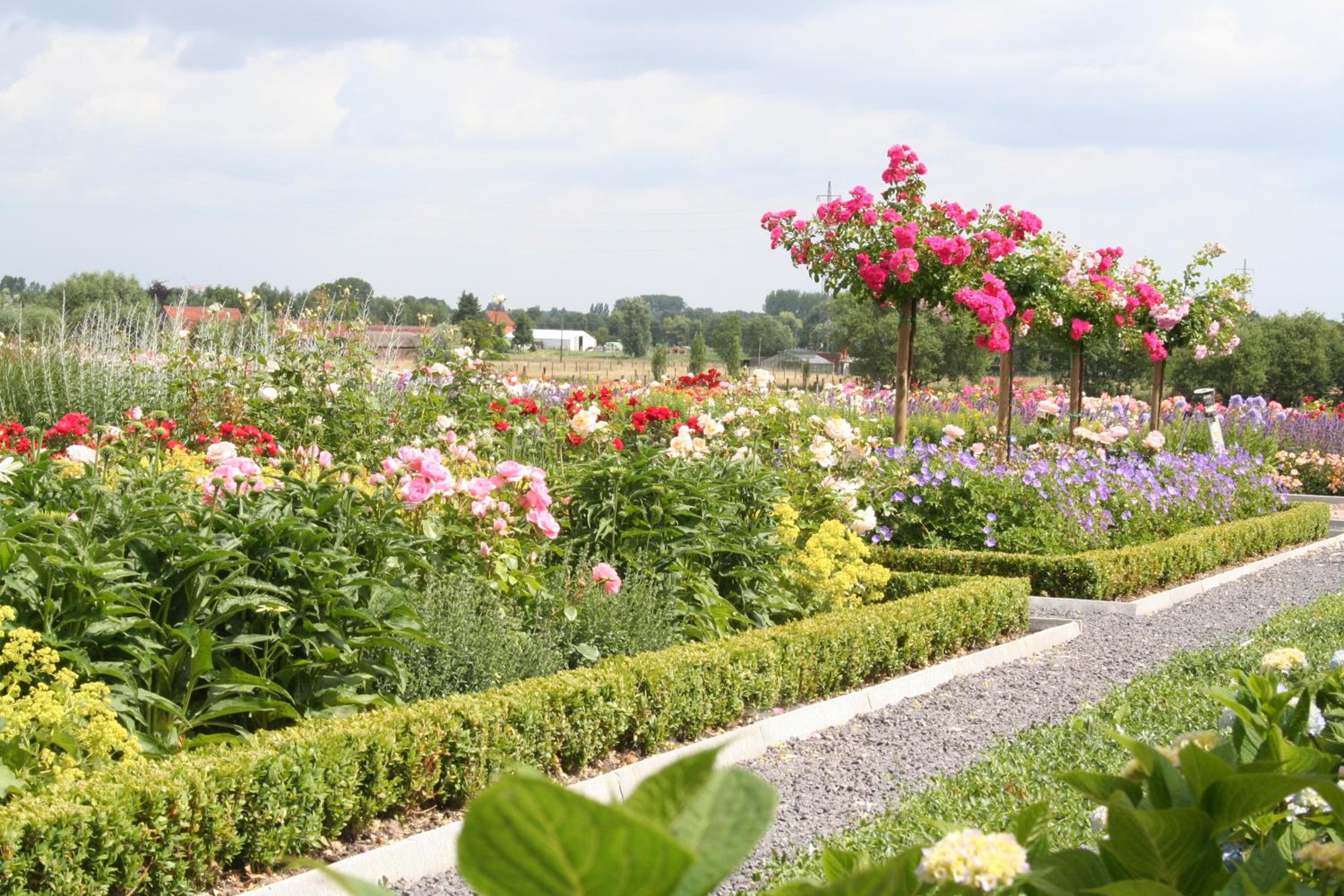 B&B La Vie En Roses