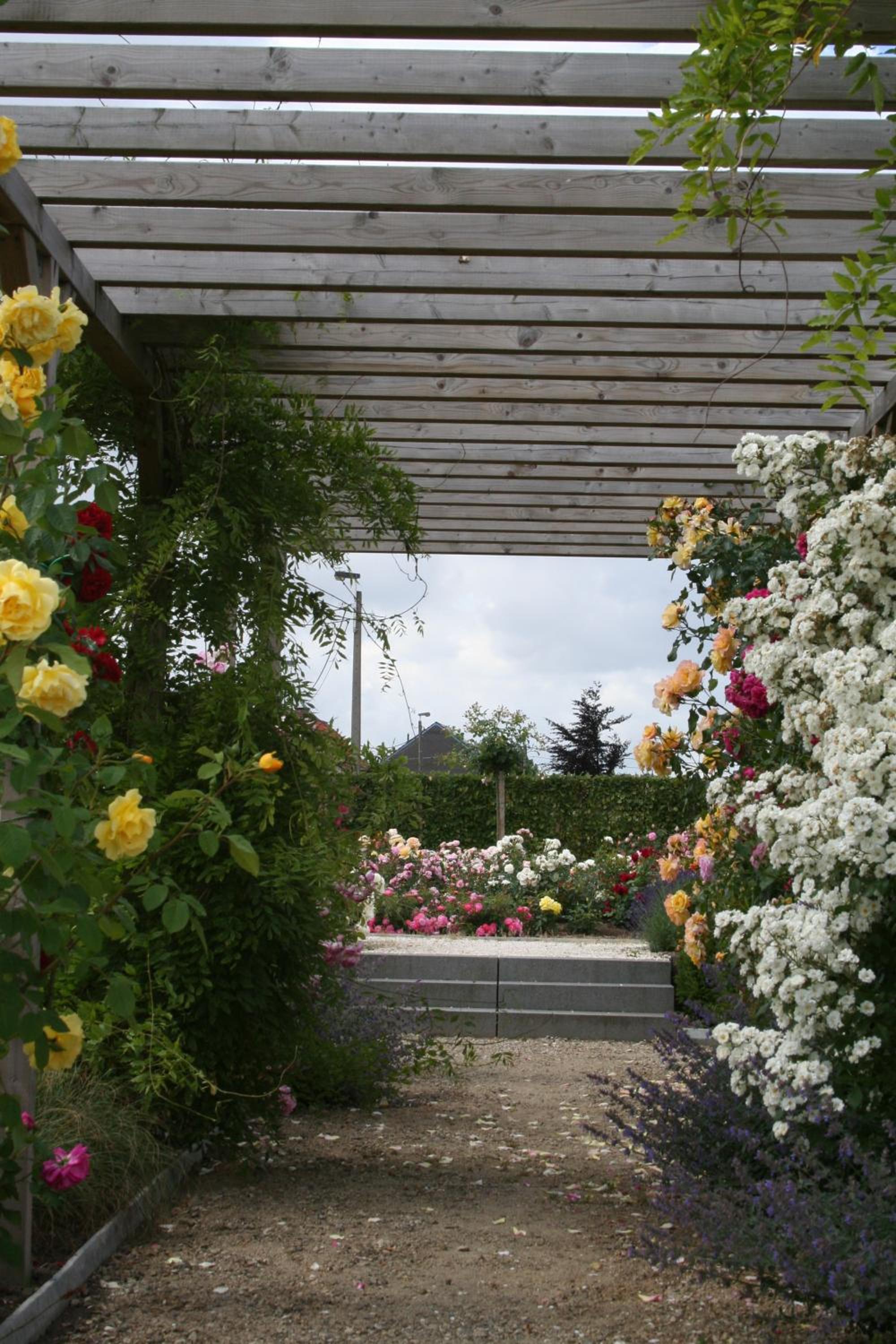 B&B La Vie En Roses