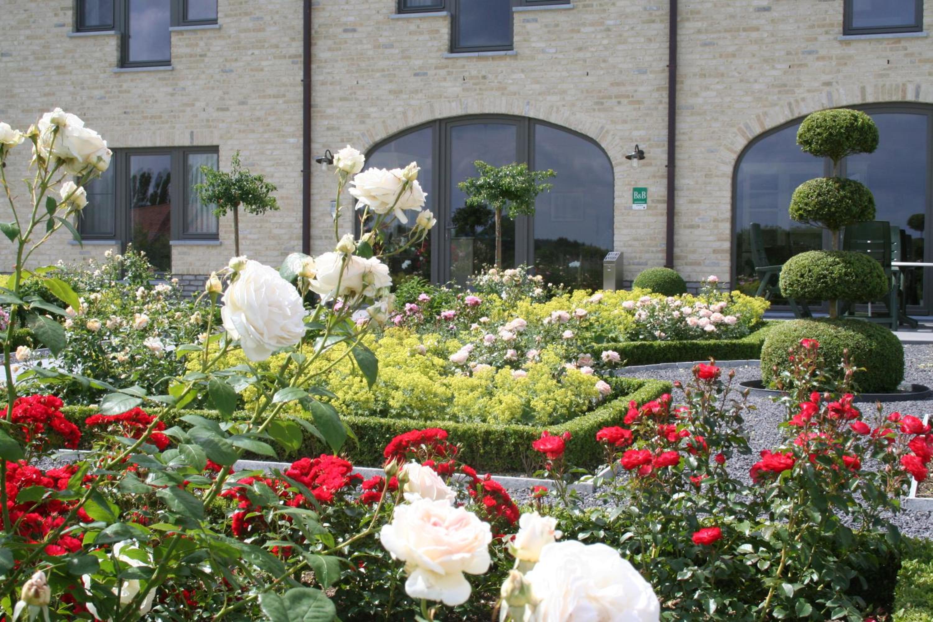B&B La Vie En Roses