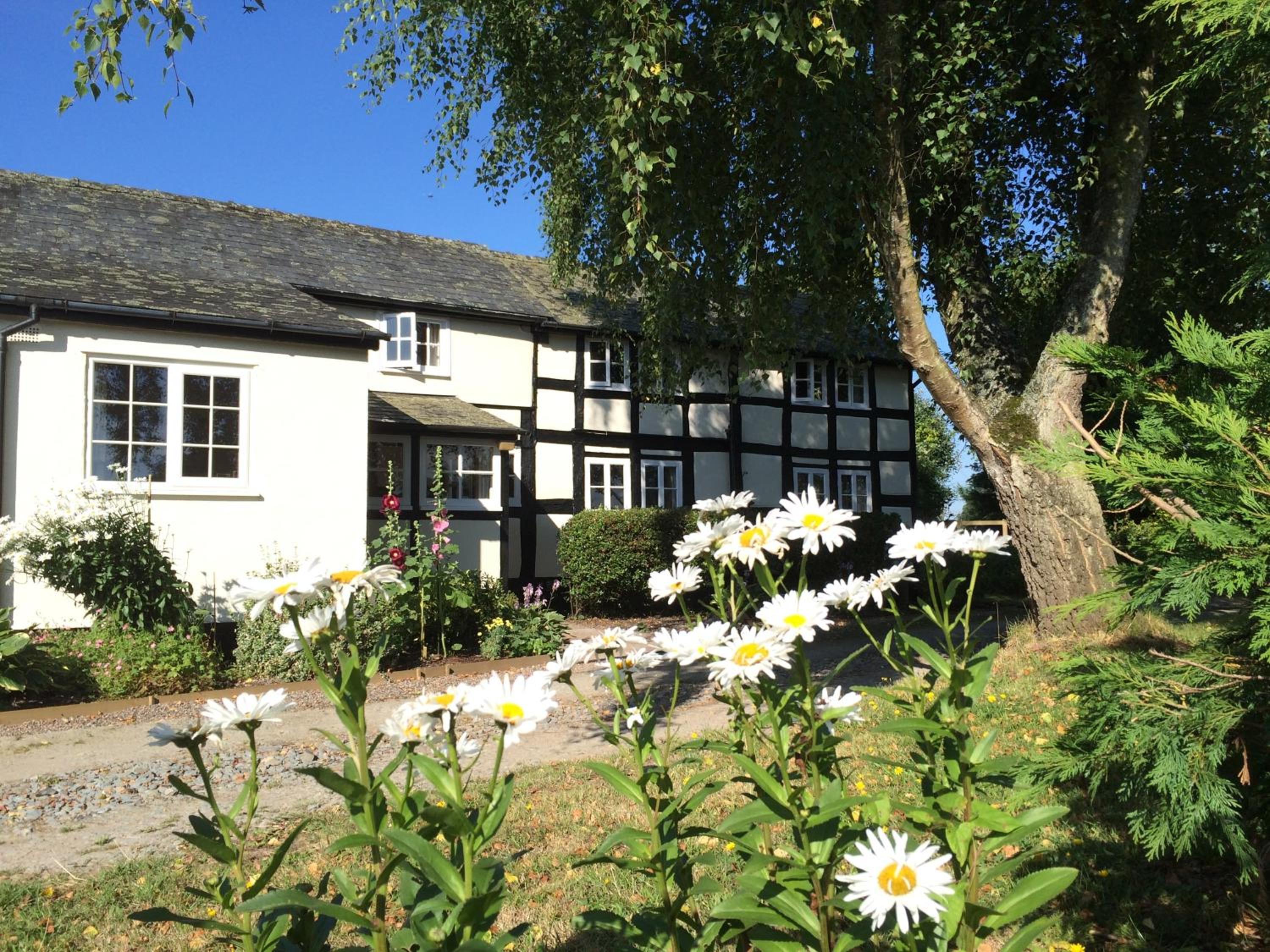 Yew Tree Cottage view 2
