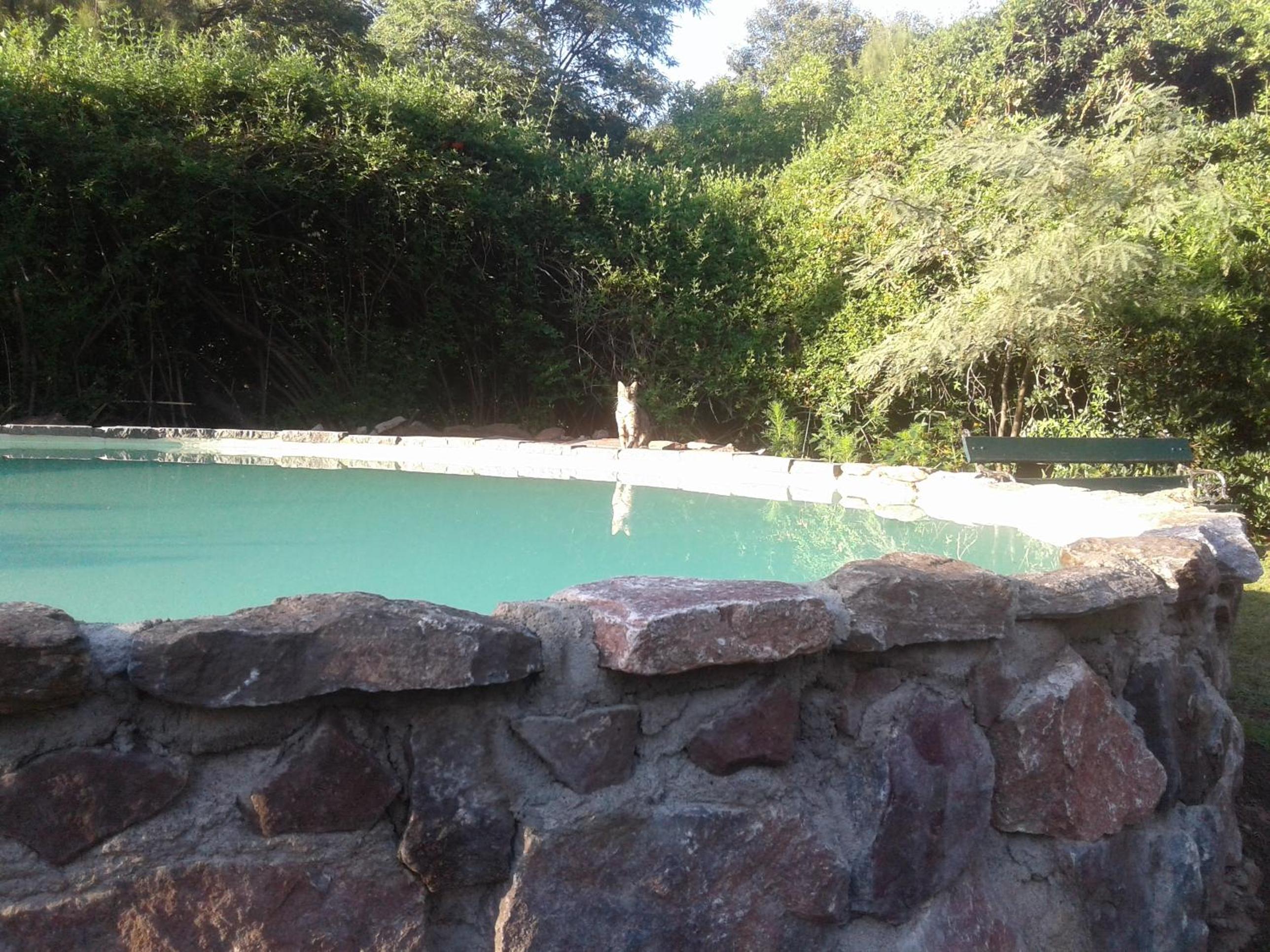 Casita de Piedra B&B