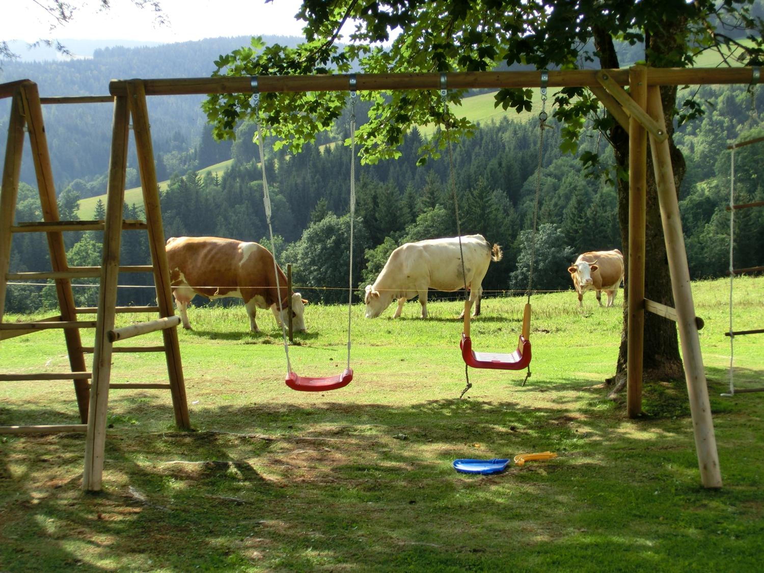 Kniebergerhof