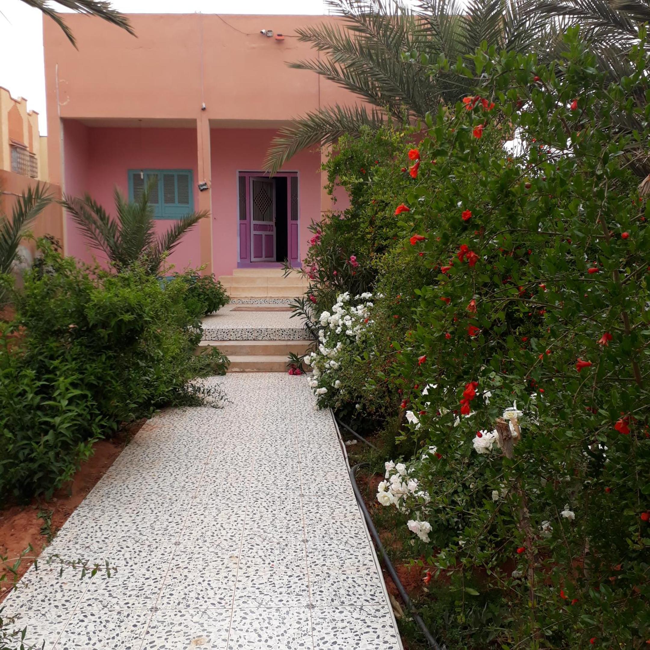 Oasispalmares view 3