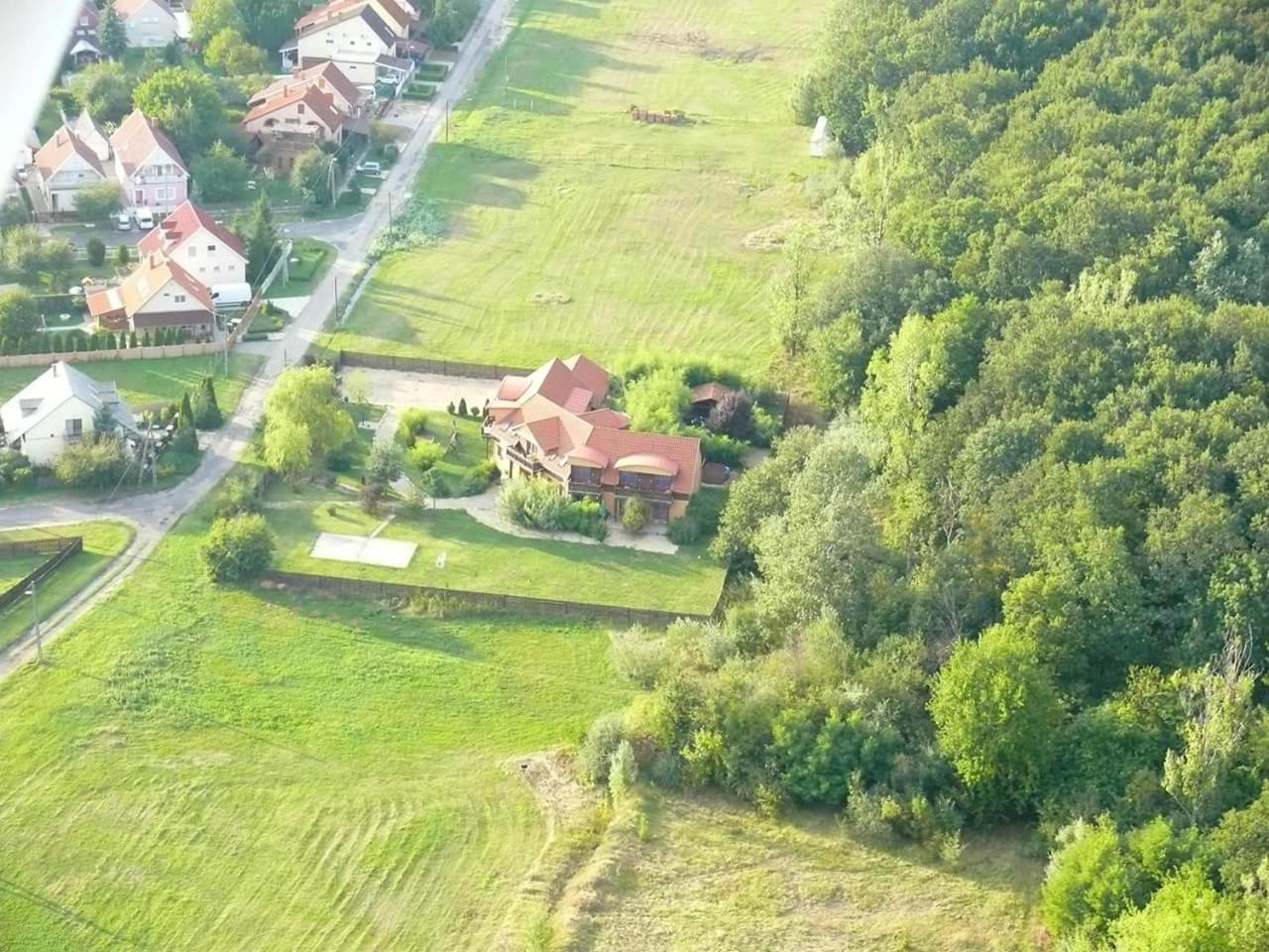 OwlCastle-Bagolyvár