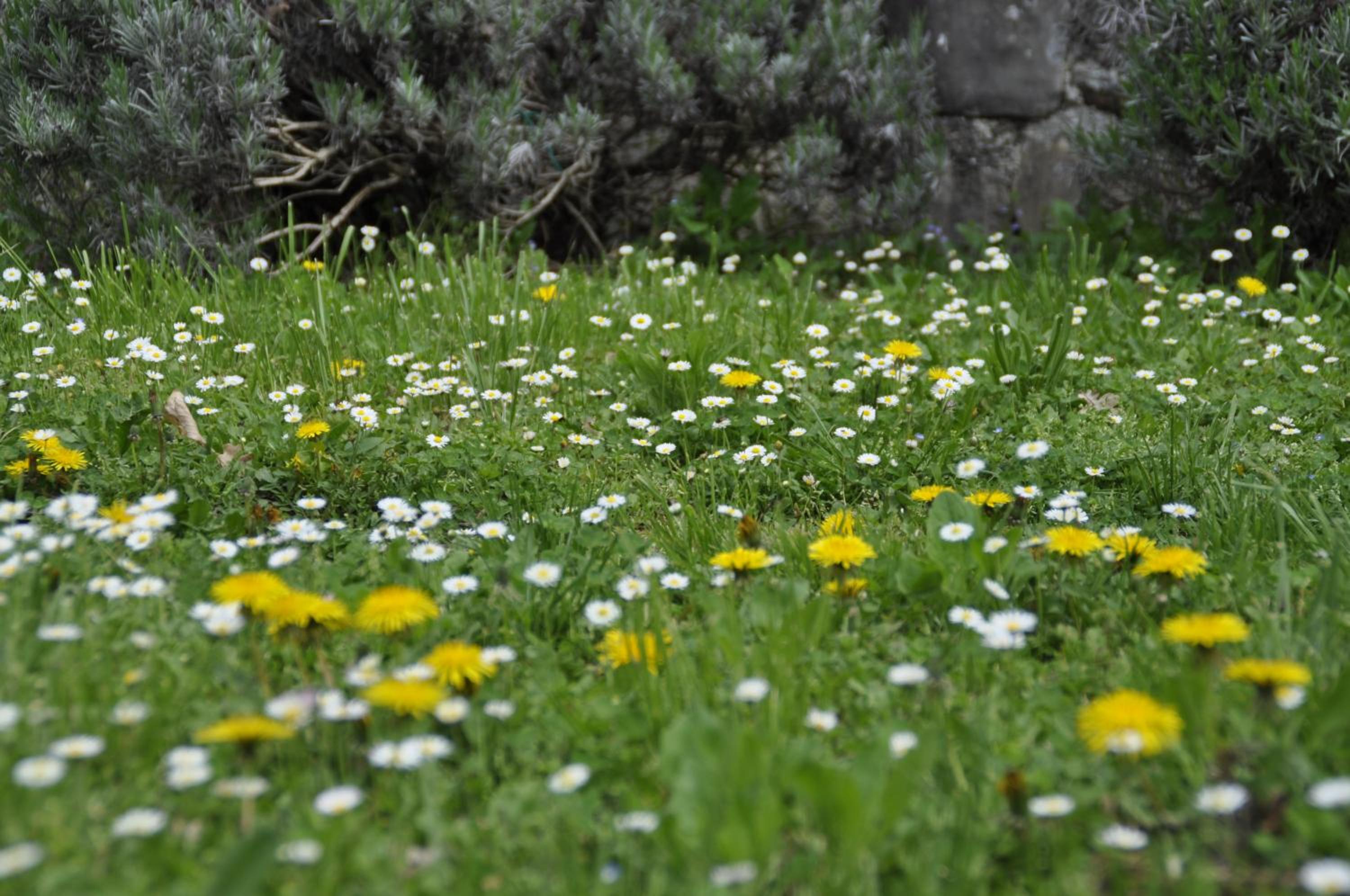 Photo 48