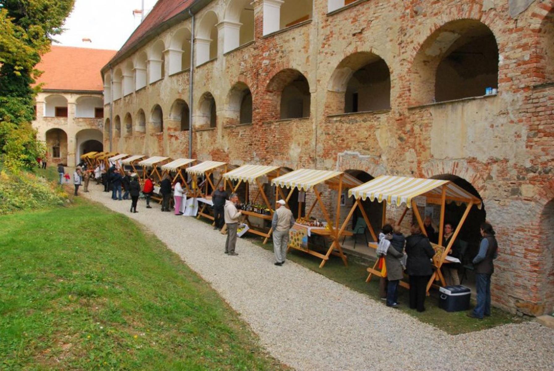 Grad Goričko view 2