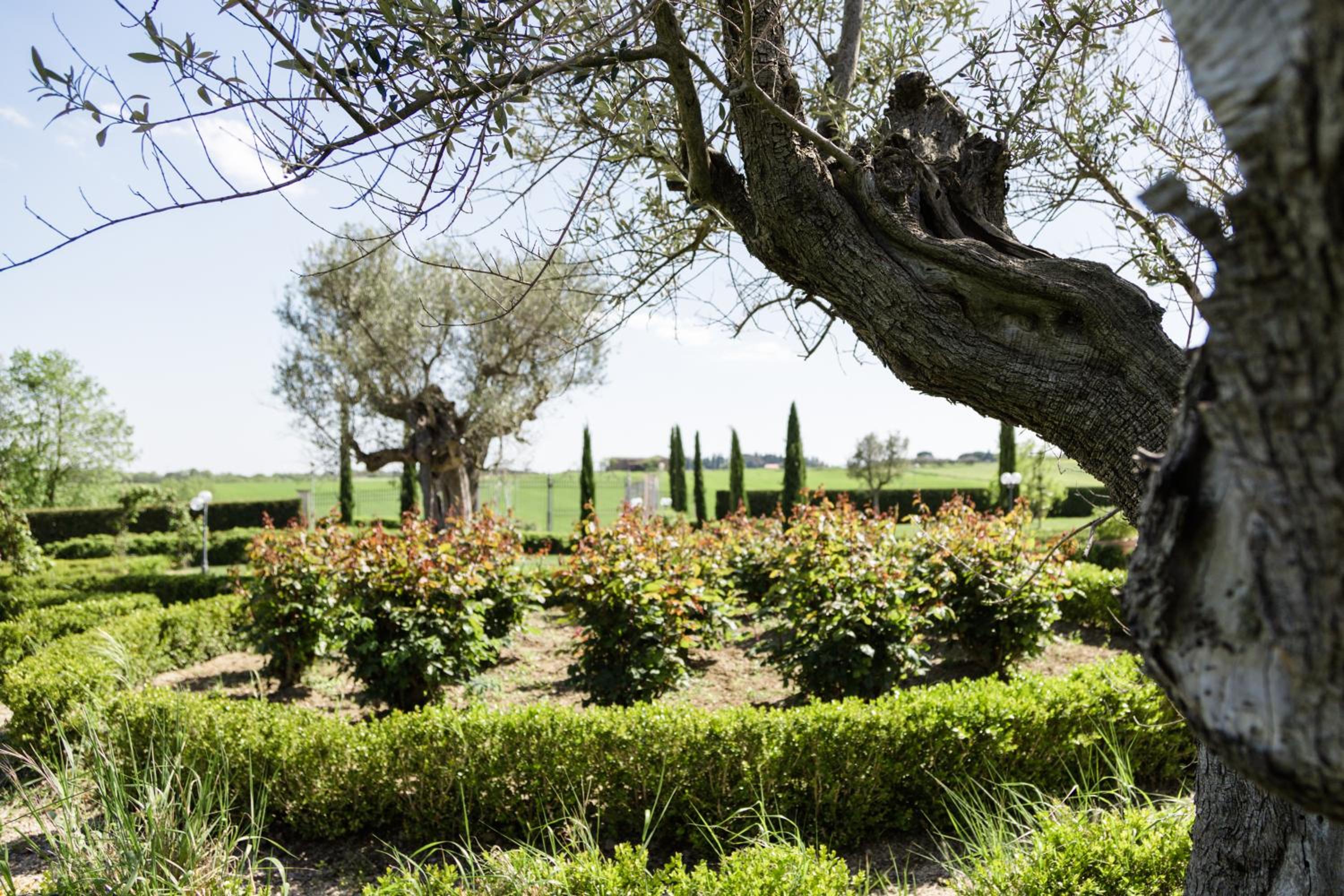 Podere San Giuseppe