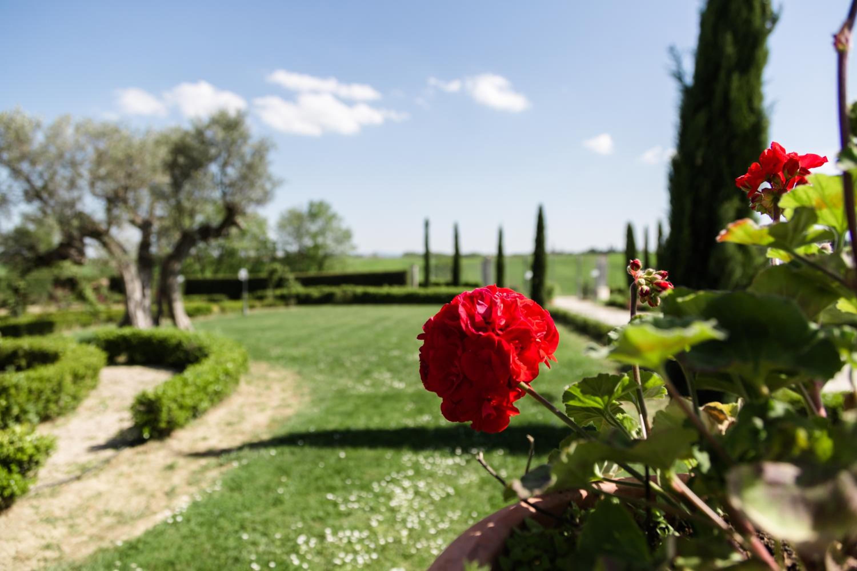 Podere San Giuseppe
