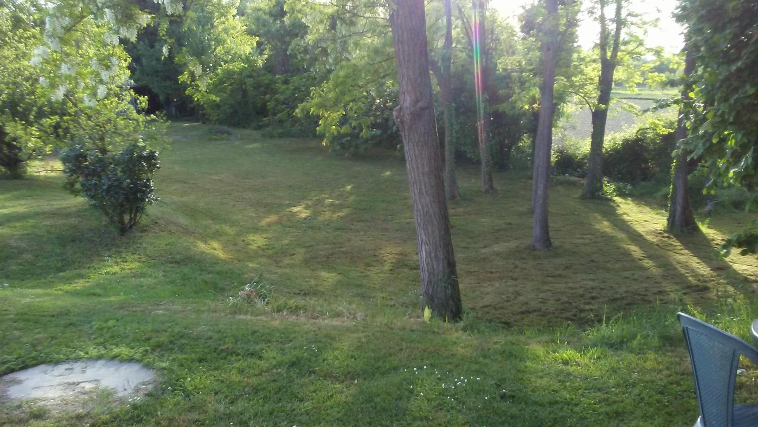 Bed and Breakfast Sile e Natura photo 3