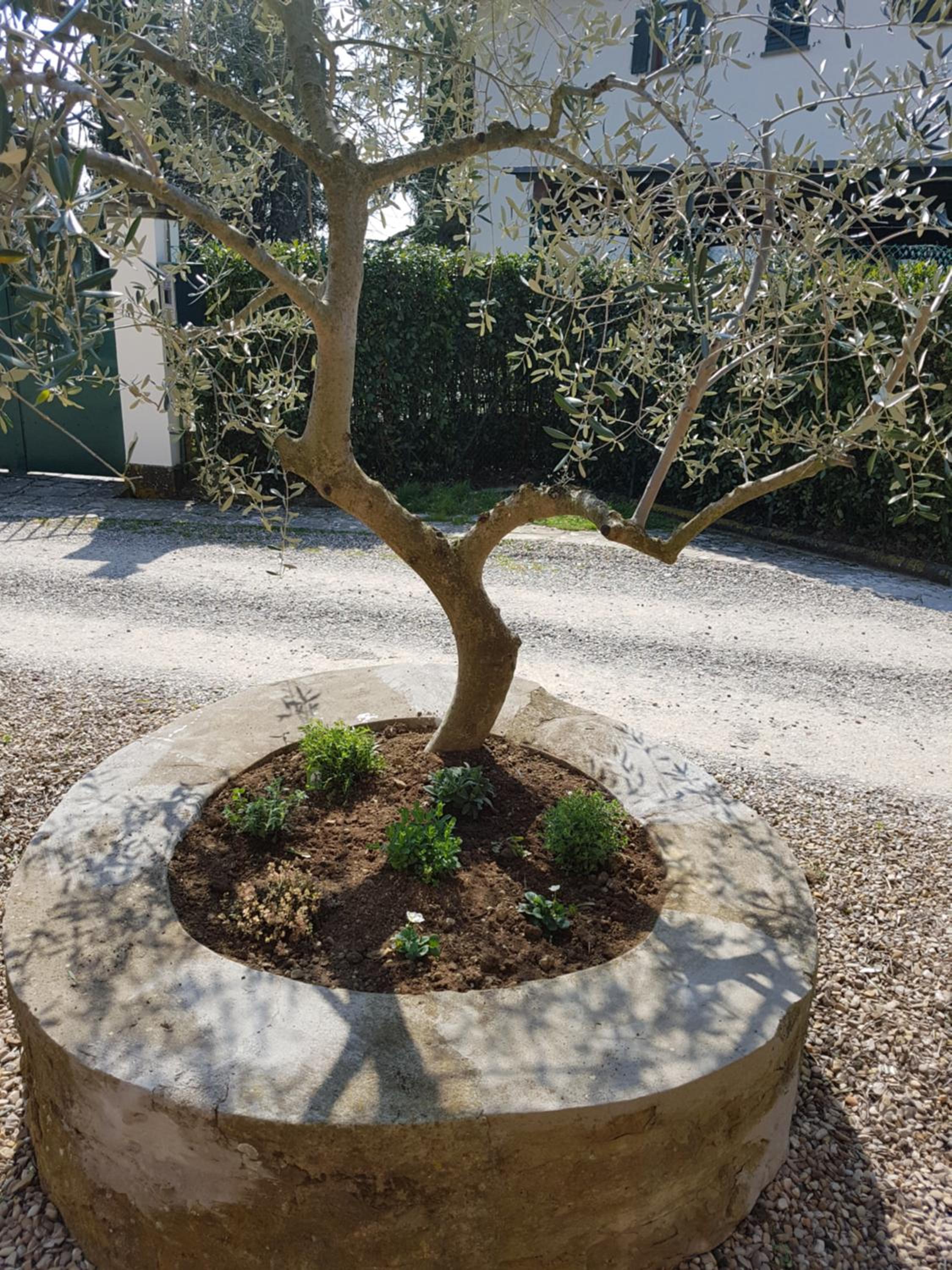 Agriturismo Il Pintello