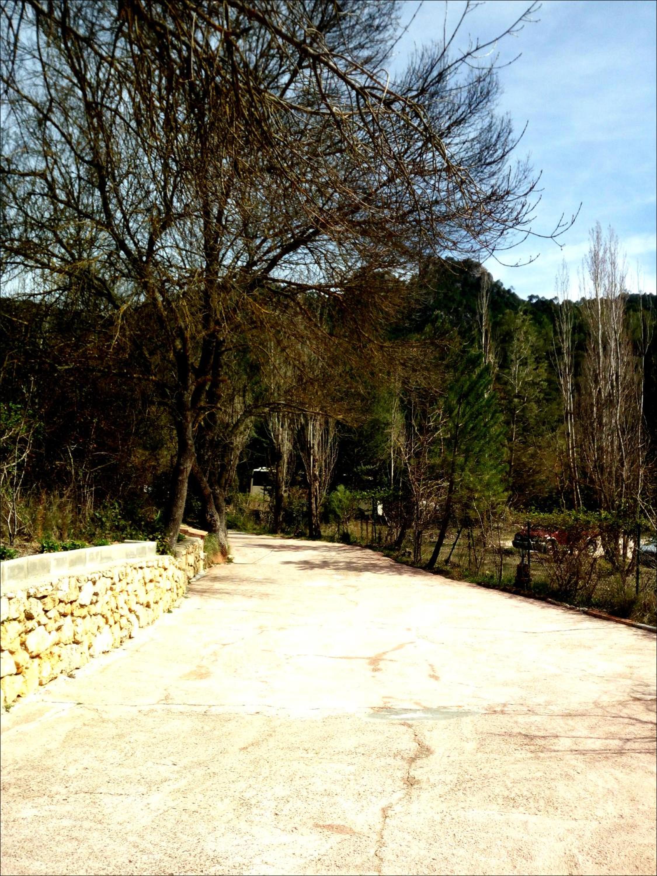 Photo 52