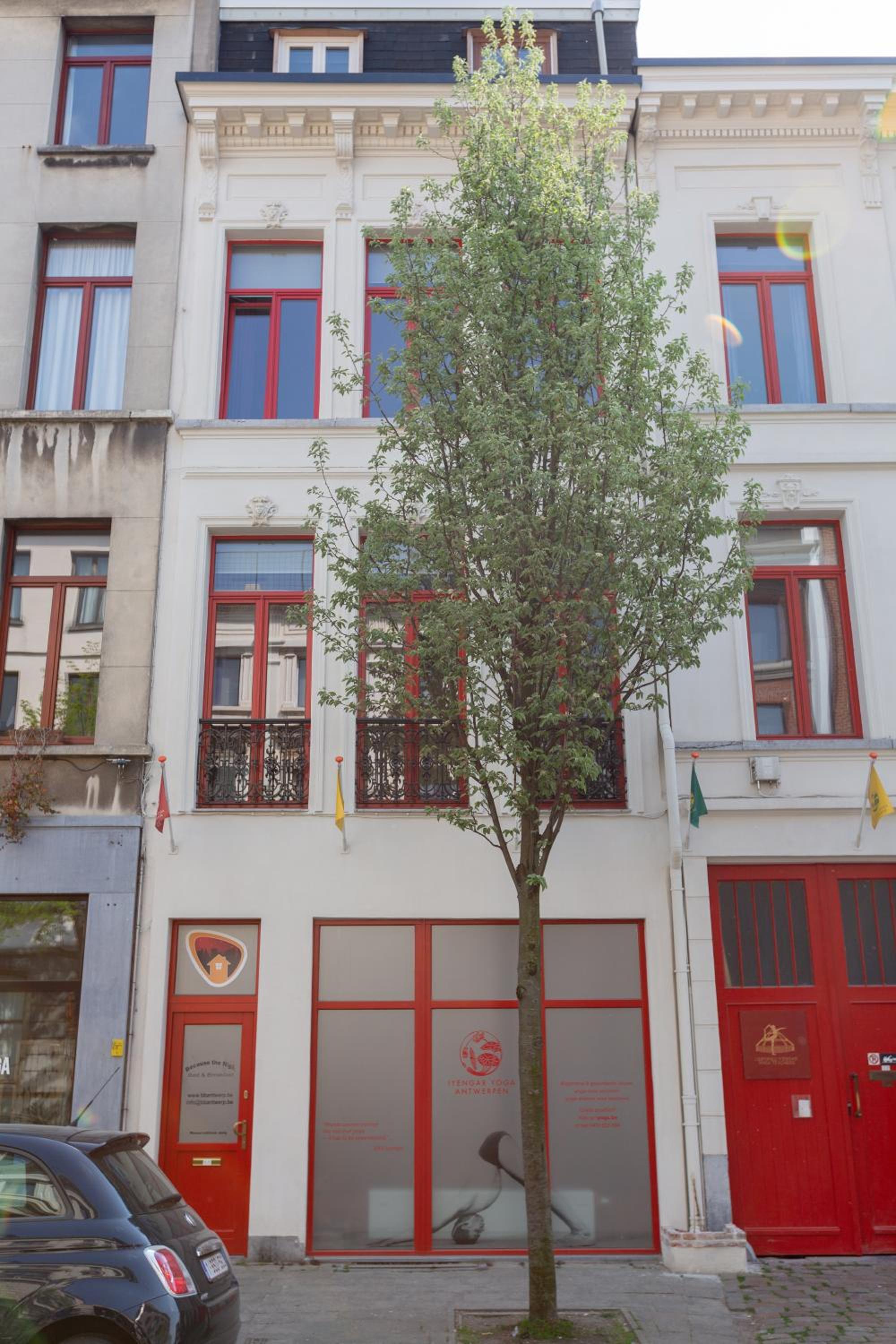 Hotel Because the Night city lodge - Image 1