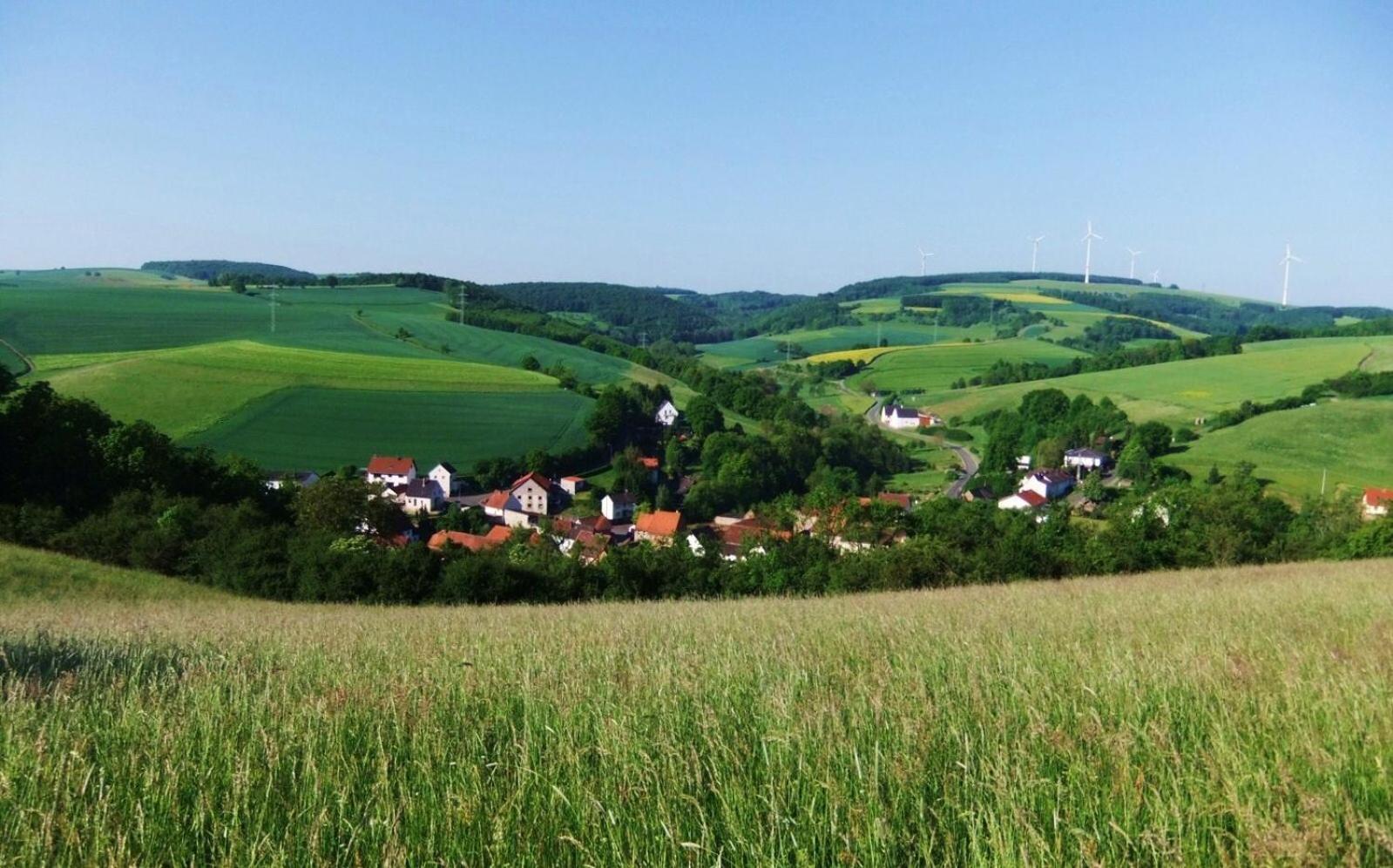 Ferienhaus Moscheltal view 4