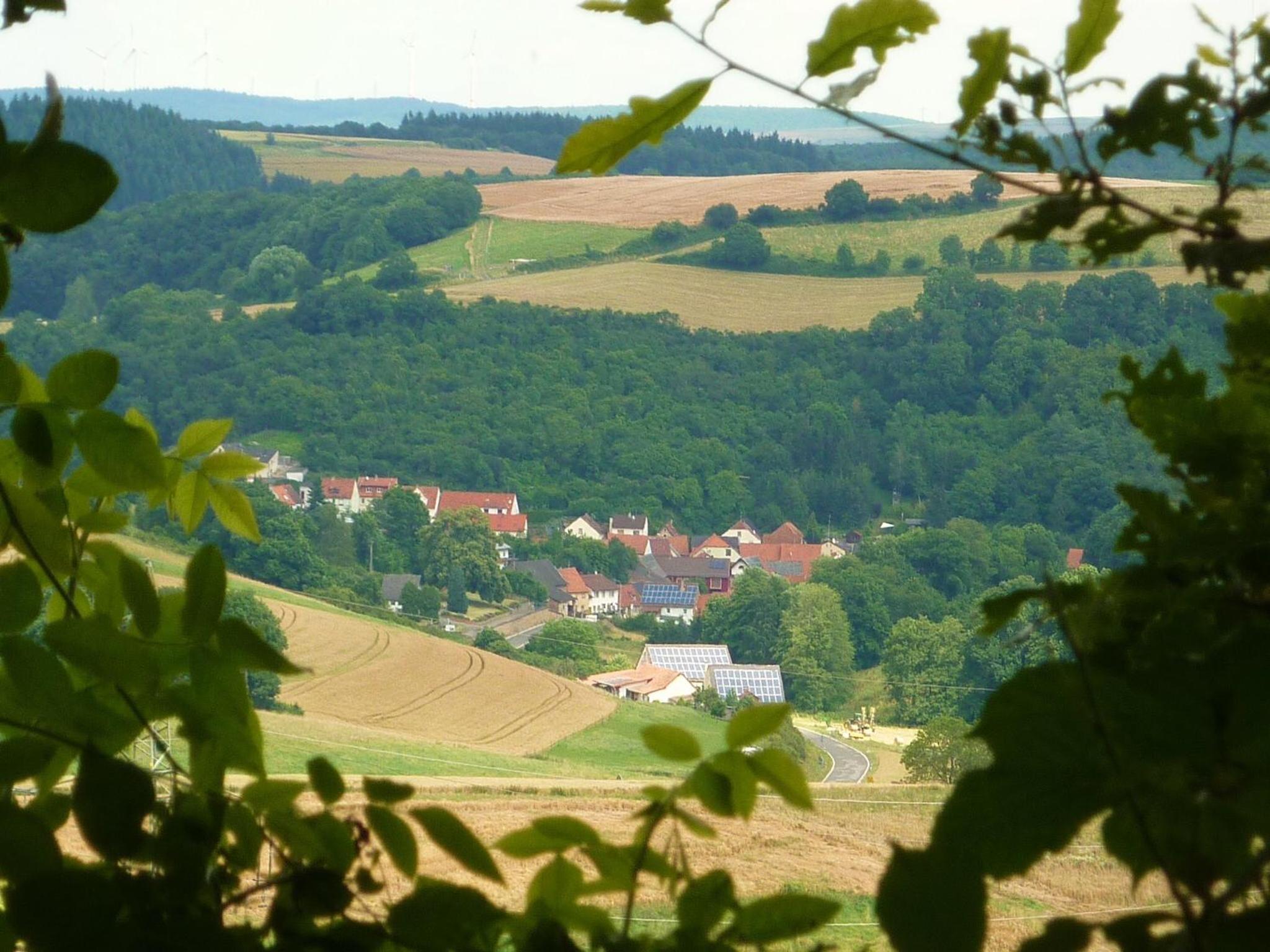 Ferienhaus Moscheltal view 3