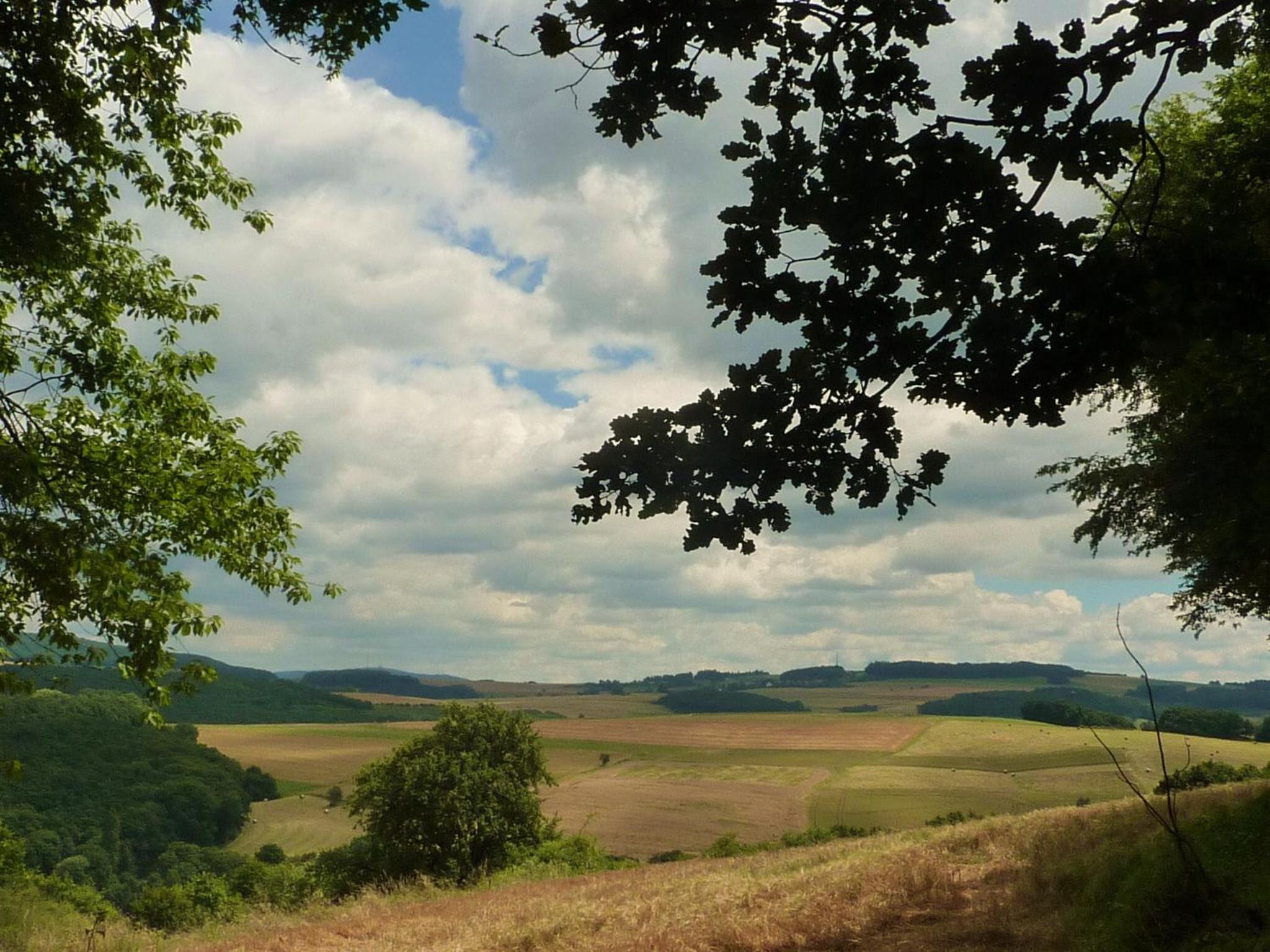 Ferienhaus Moscheltal view 5