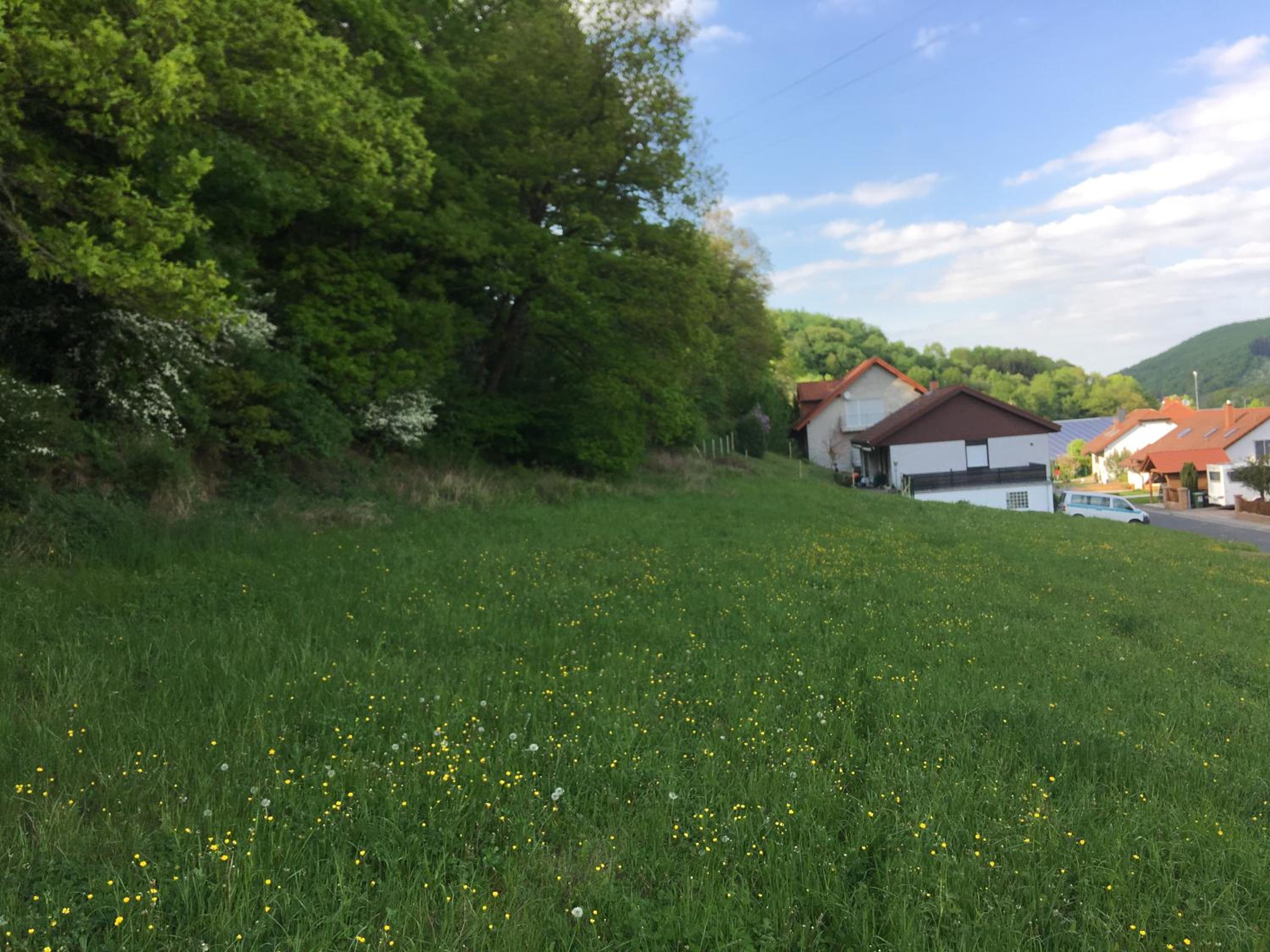 Ferienhaus Moscheltal view 2
