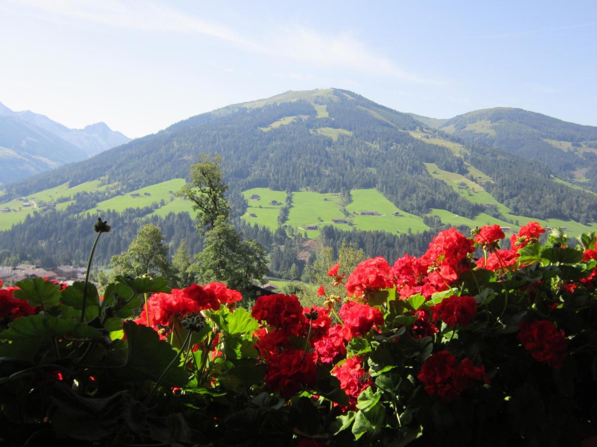 Alpbachblick