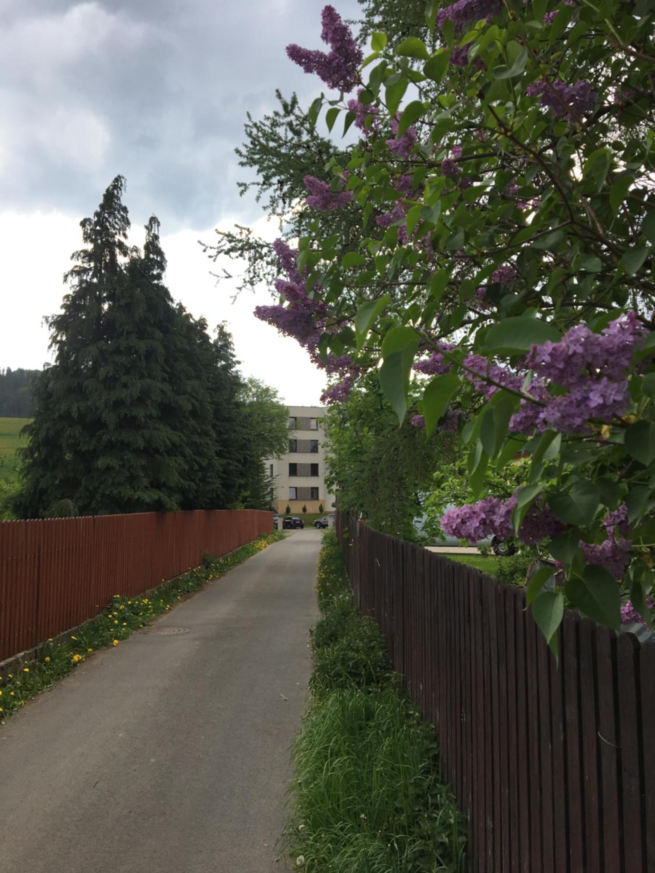 Apartament Premium Delux view 5