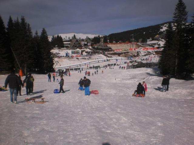 Photo 8
