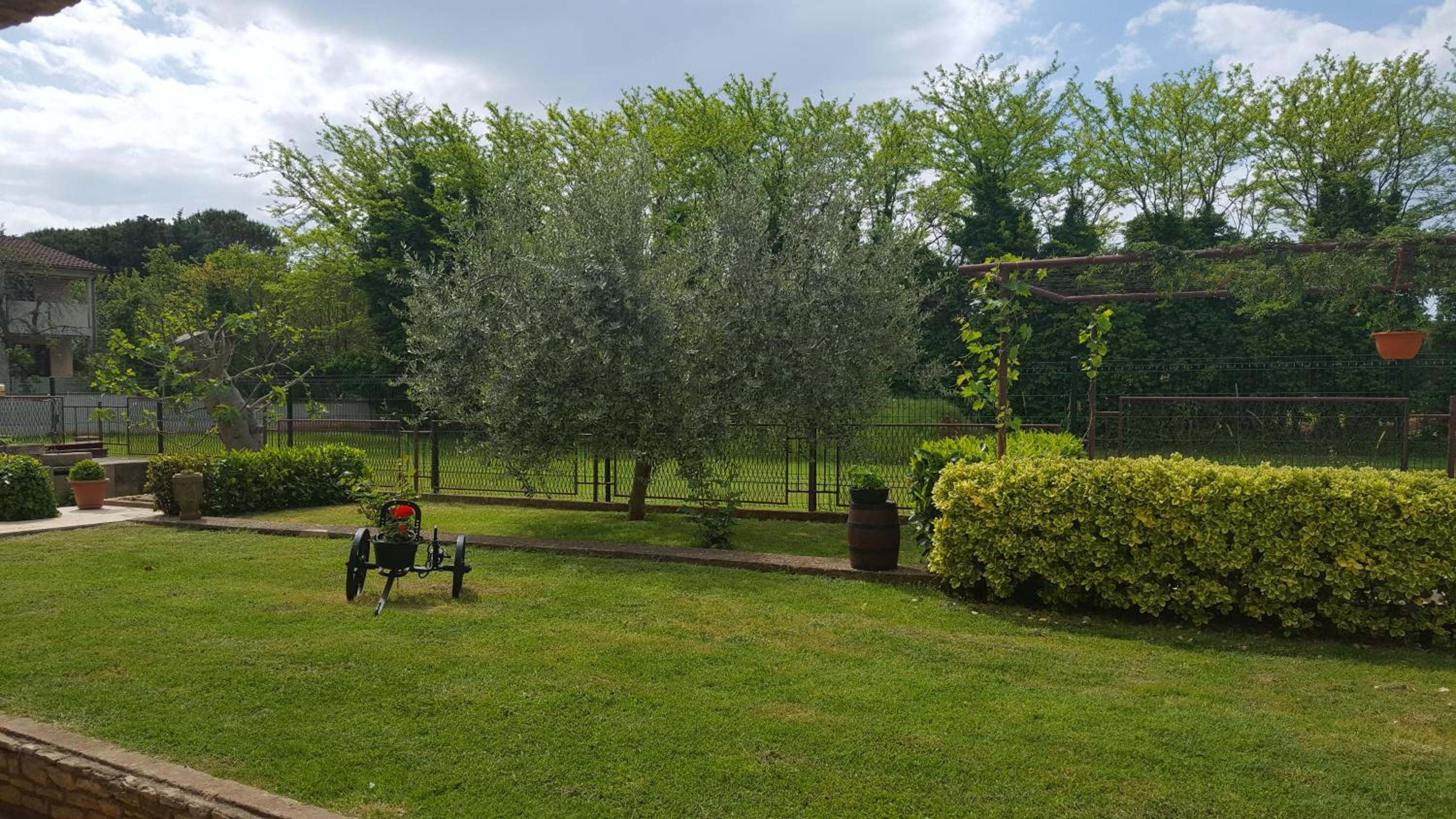 Photo 23