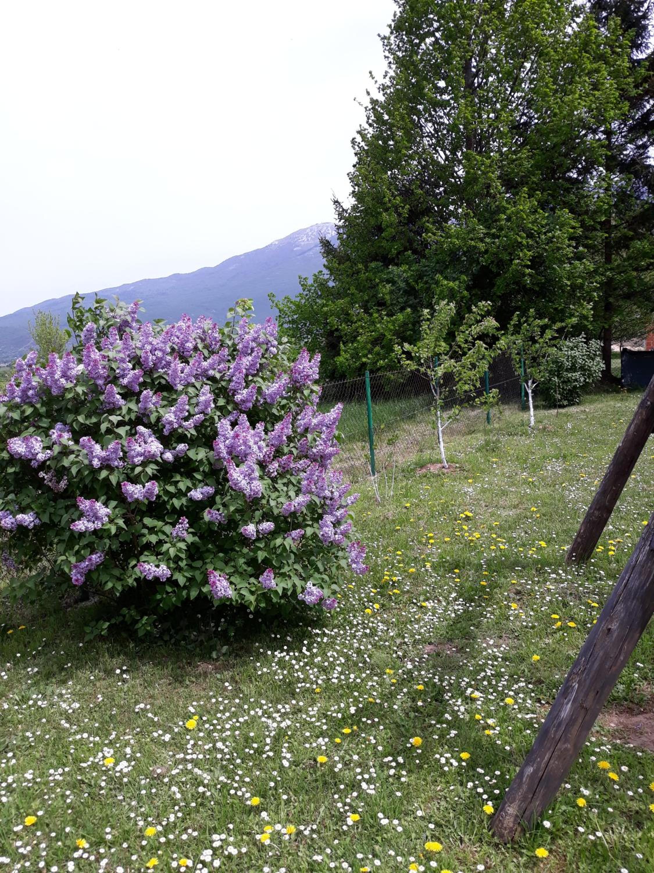 Photo 26
