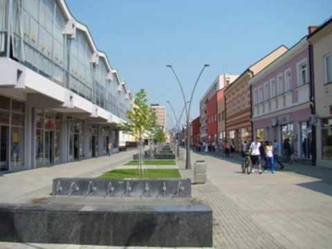 Photo 61