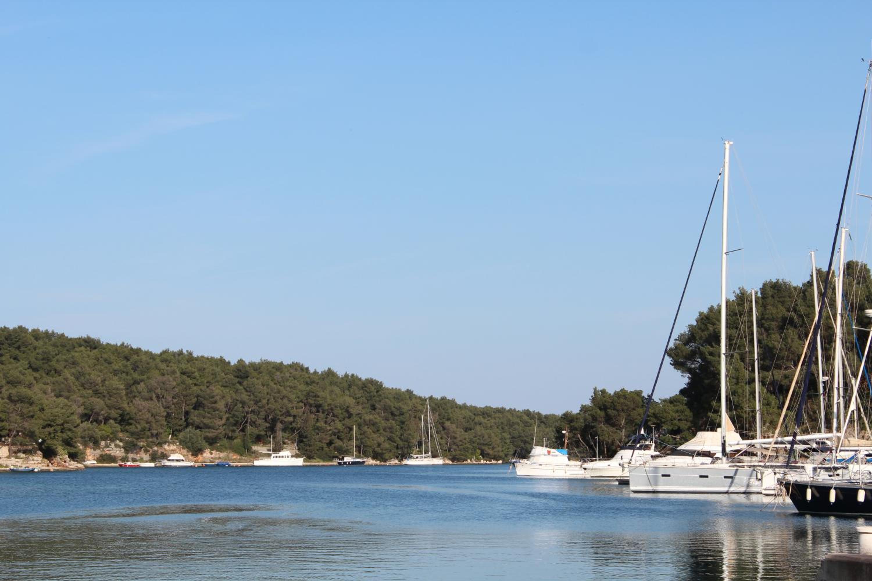 Photo 46
