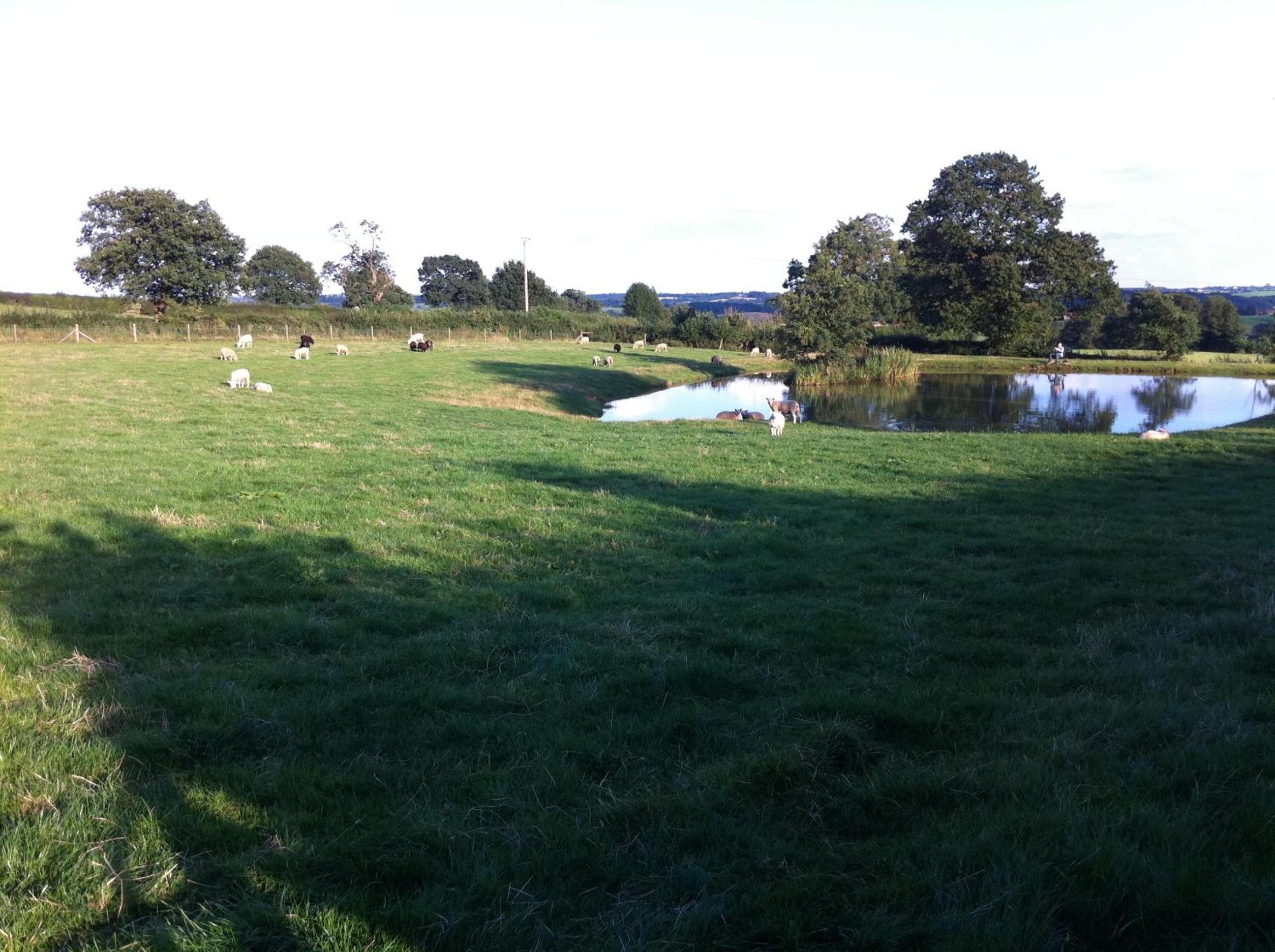 Crich Lane Farm view 4
