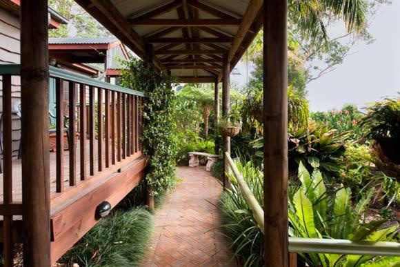 Tamborine Mountain Bed and Breakfast