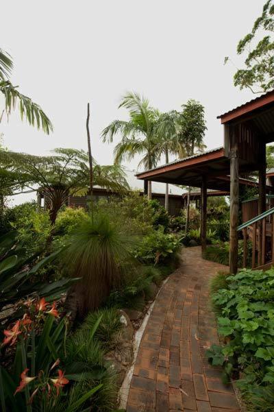 Tamborine Mountain Bed and Breakfast
