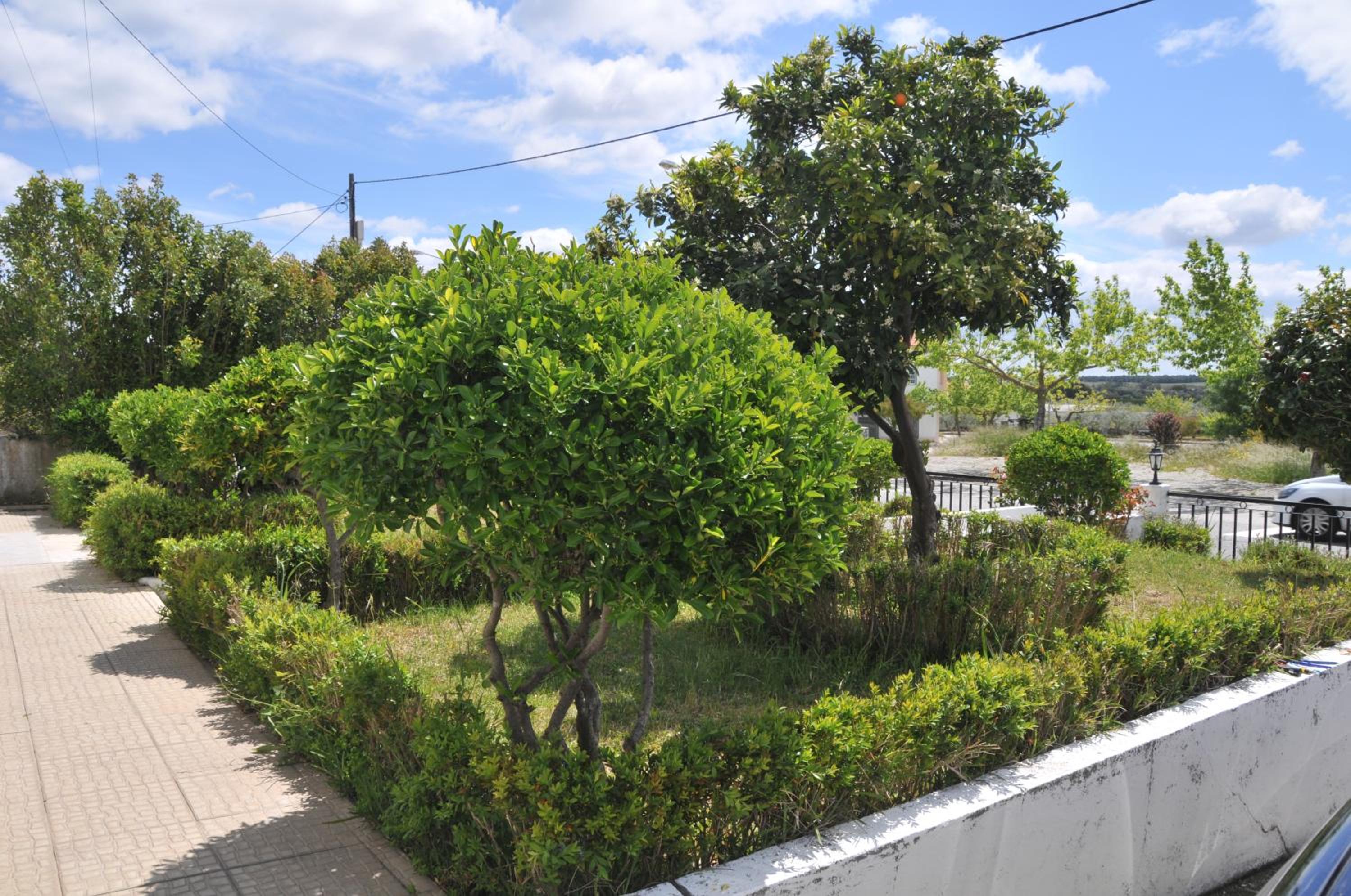 Photo 32