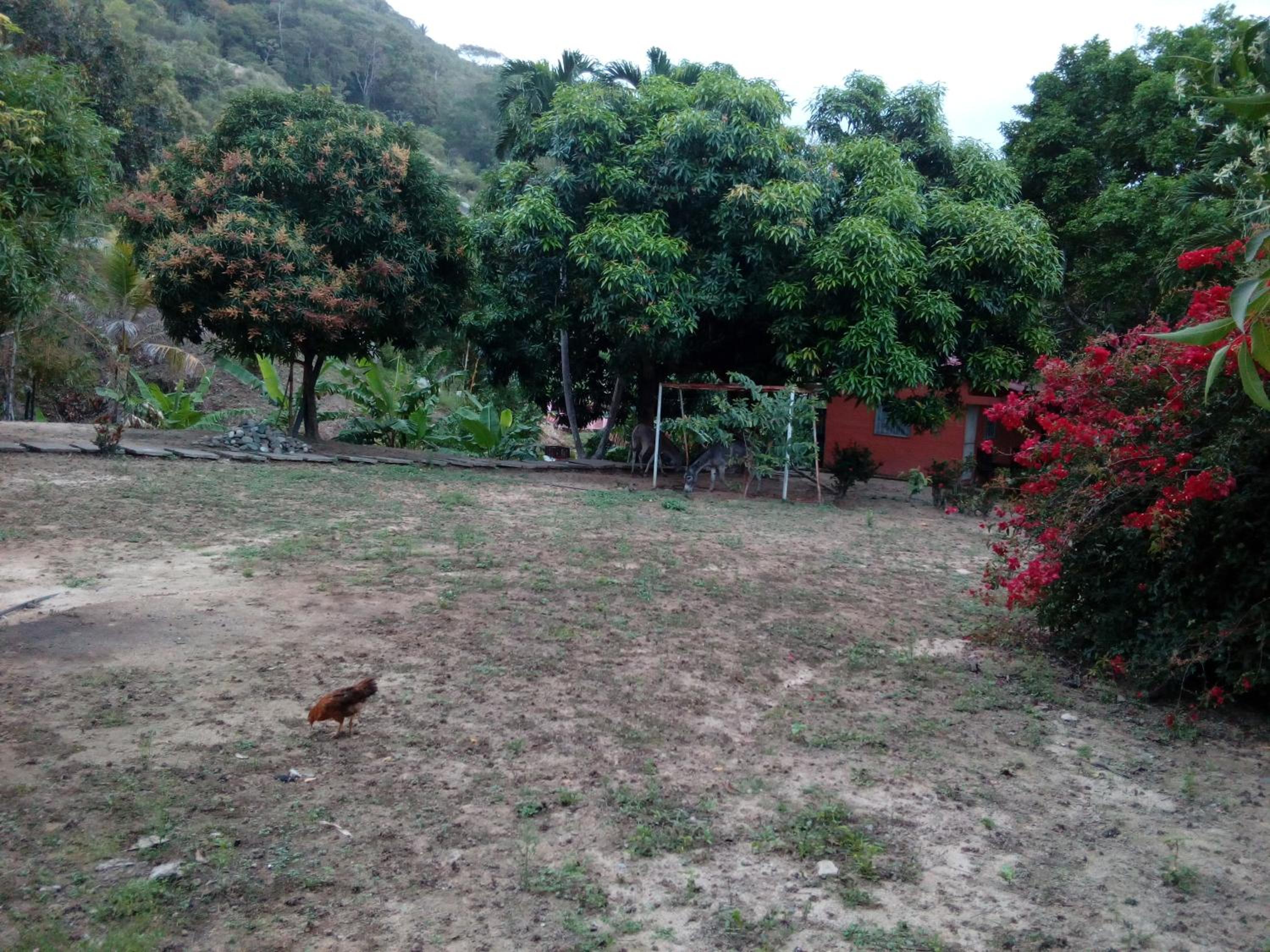 Photo 38
