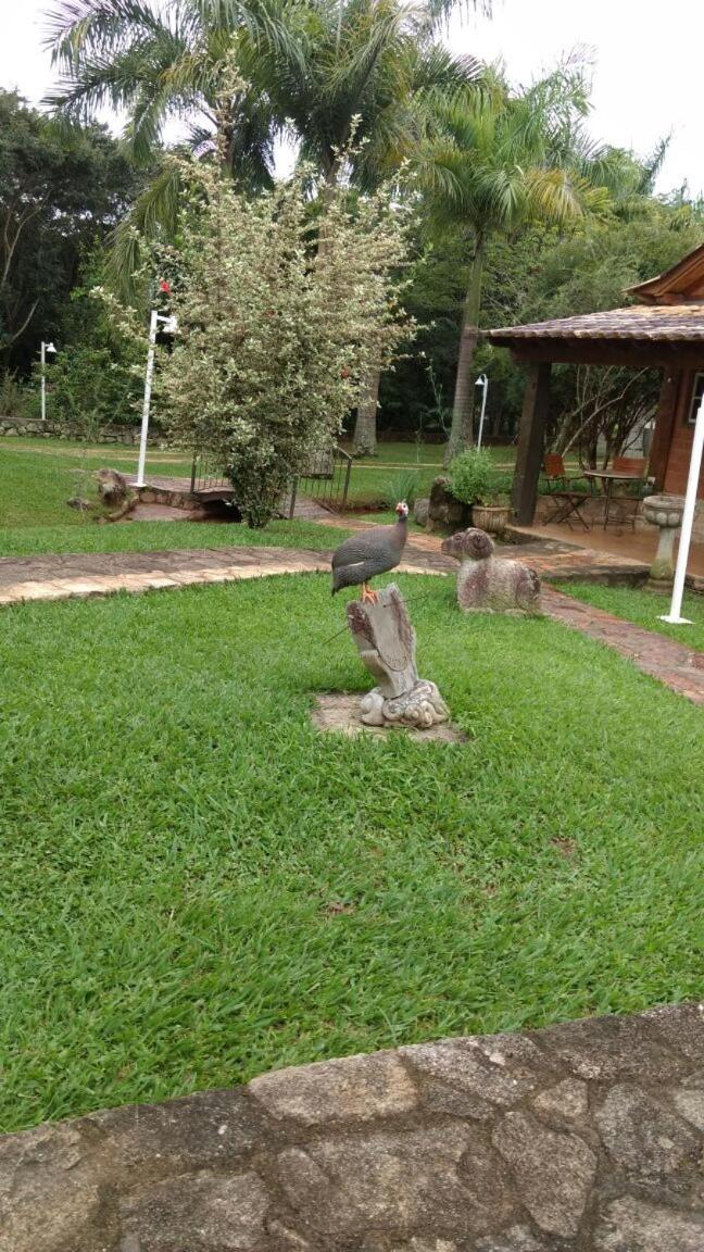 Calcada Sao Jose