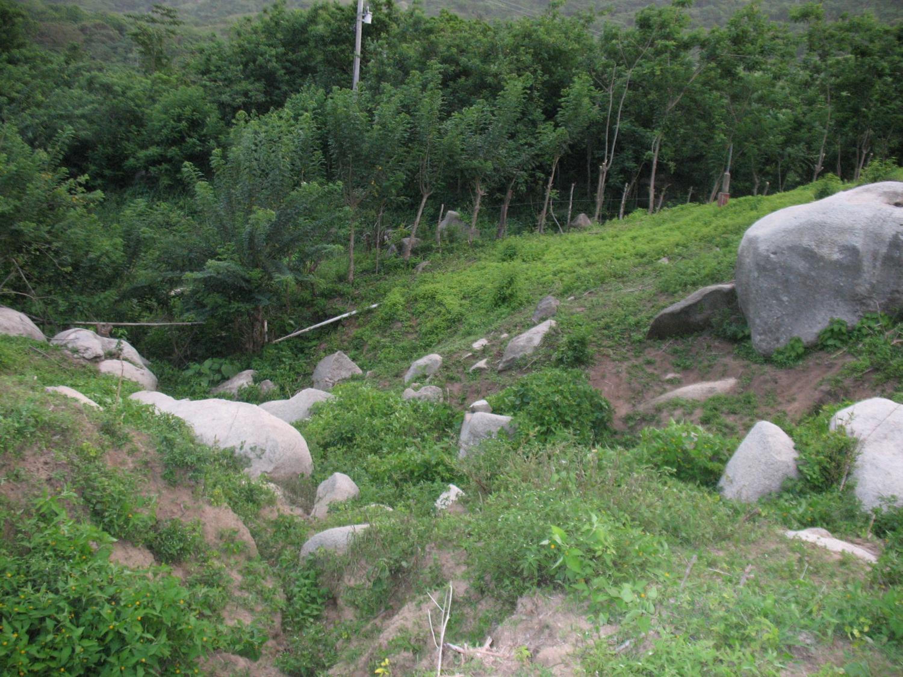 Photo 40